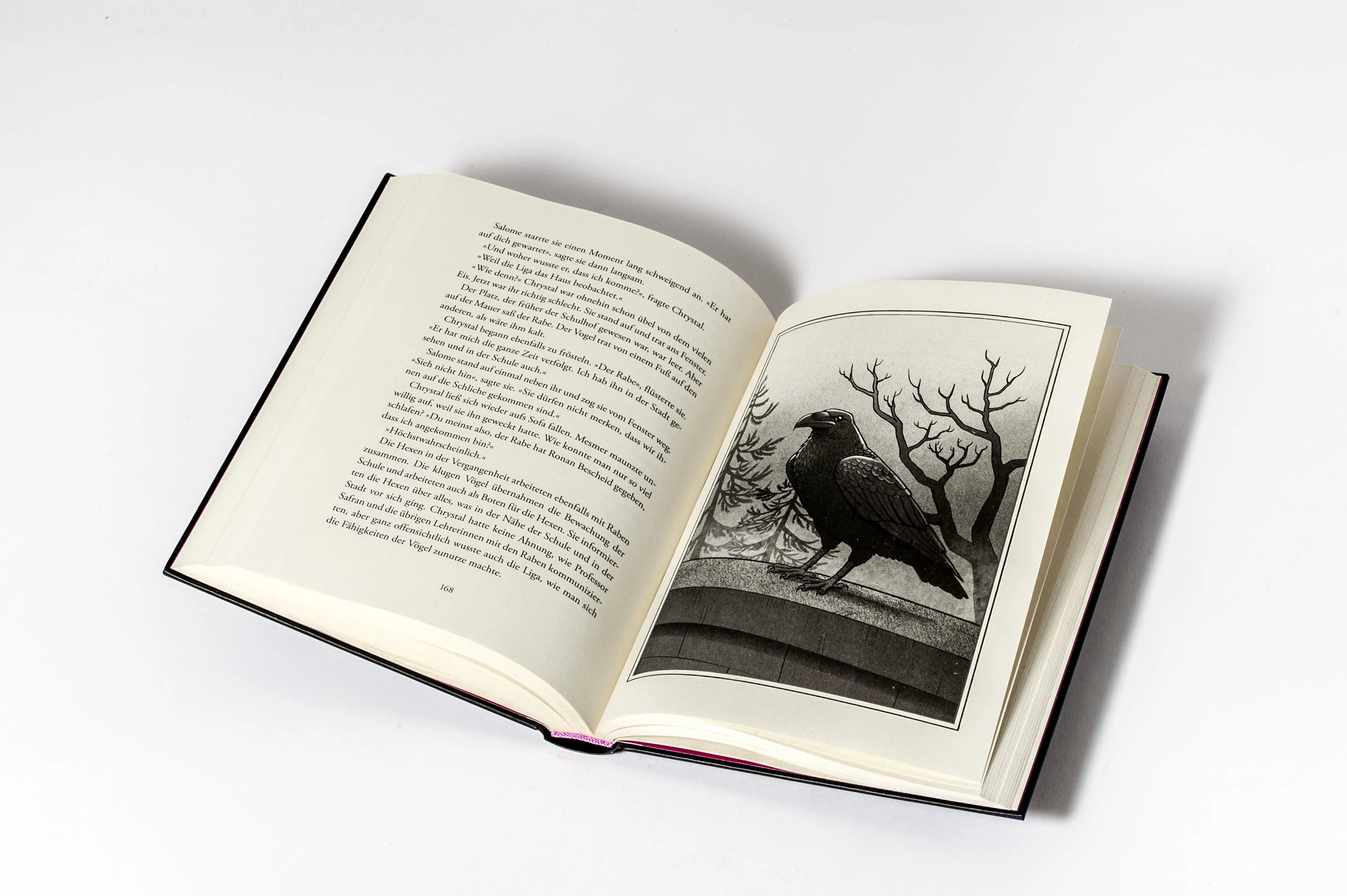 Detailansicht: School of Witches - Die Zeit der Hexen (Hardcover)