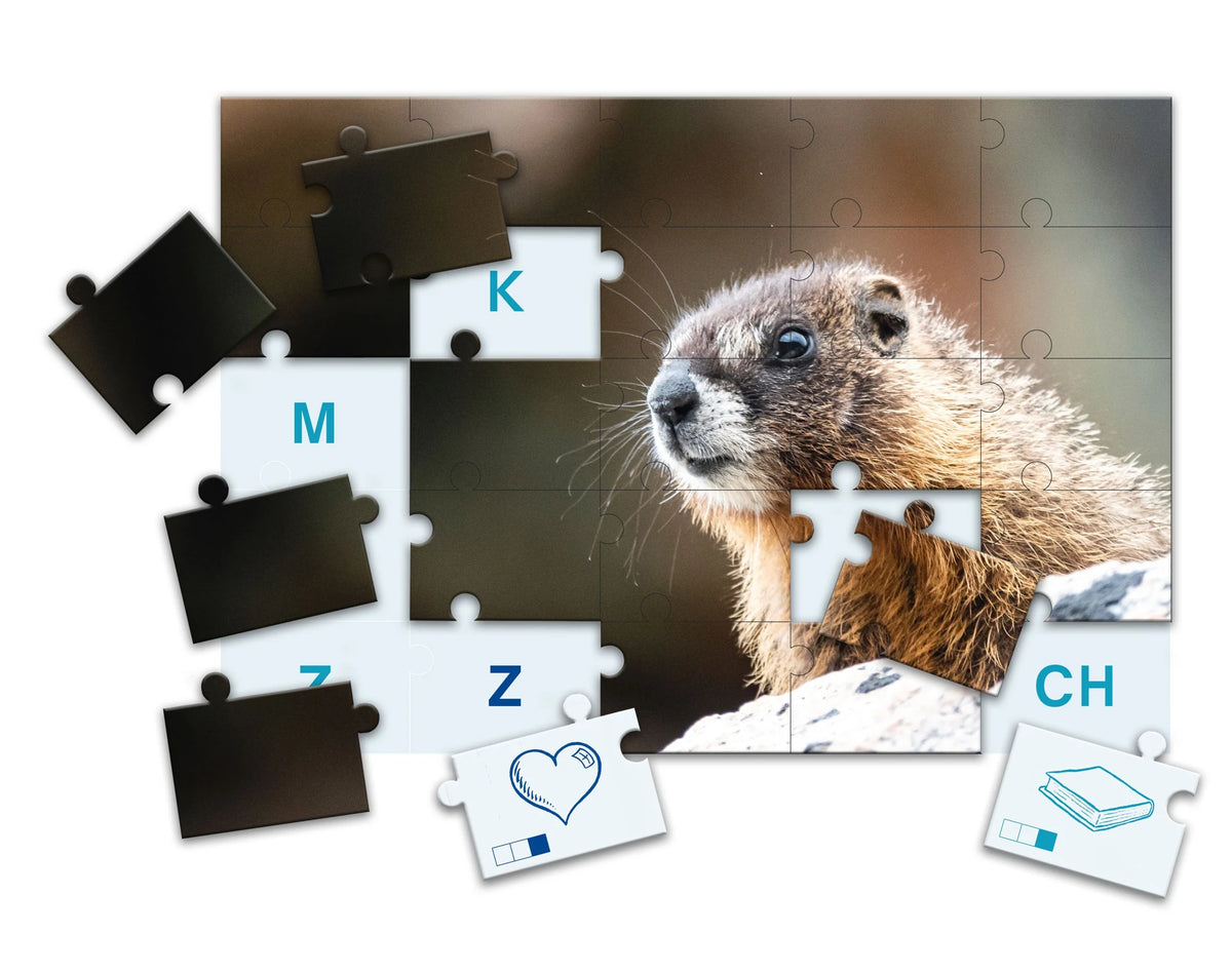 SCHUBI LesePuzzles – Ansicht