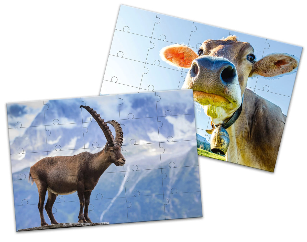 SCHUBI LesePuzzles – Ansicht