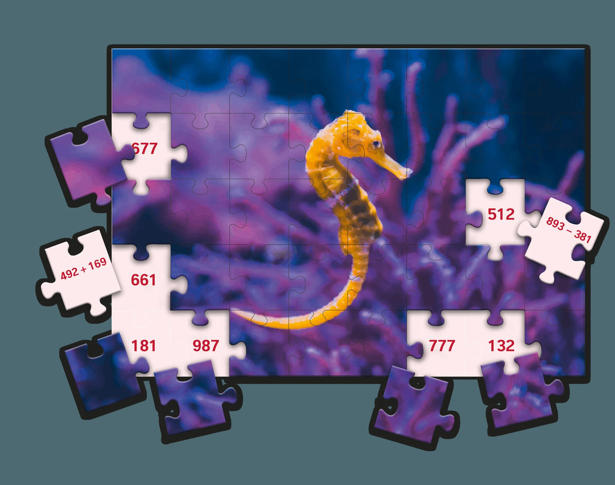 SCHUBI MathPuzzles – Ansicht