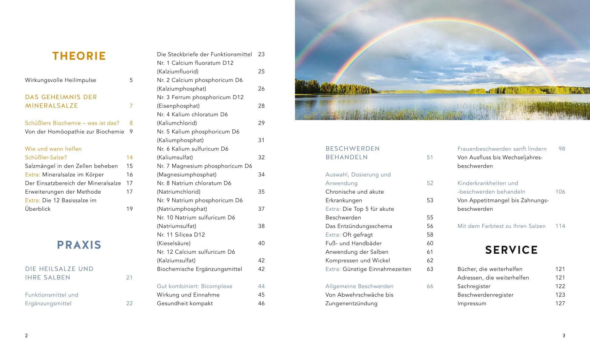 Produktansicht: Schüßler-Salze (Taschenbuch)