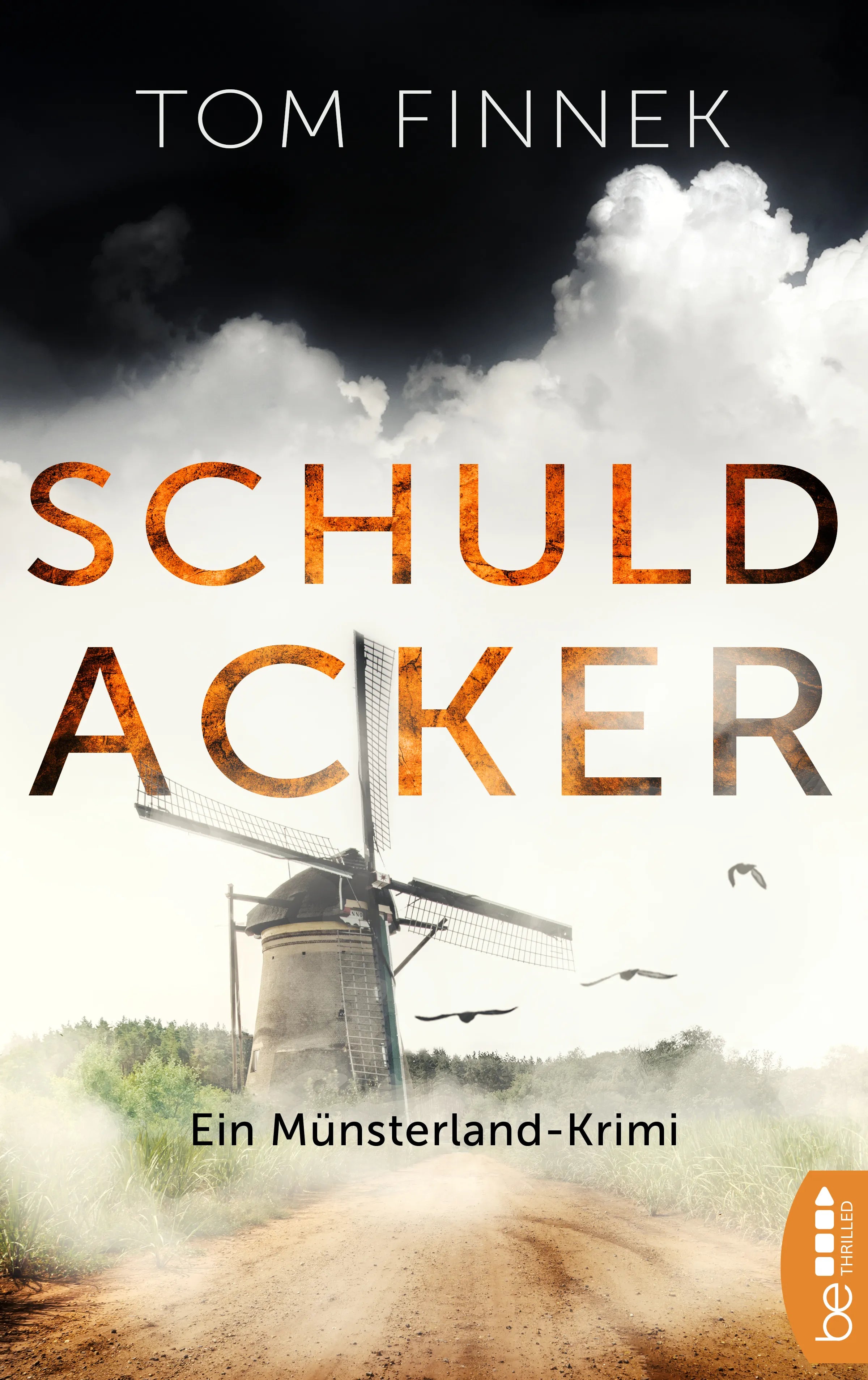 Buchcover von 'Schuldacker' - Taschenbuch von Tom Finnek