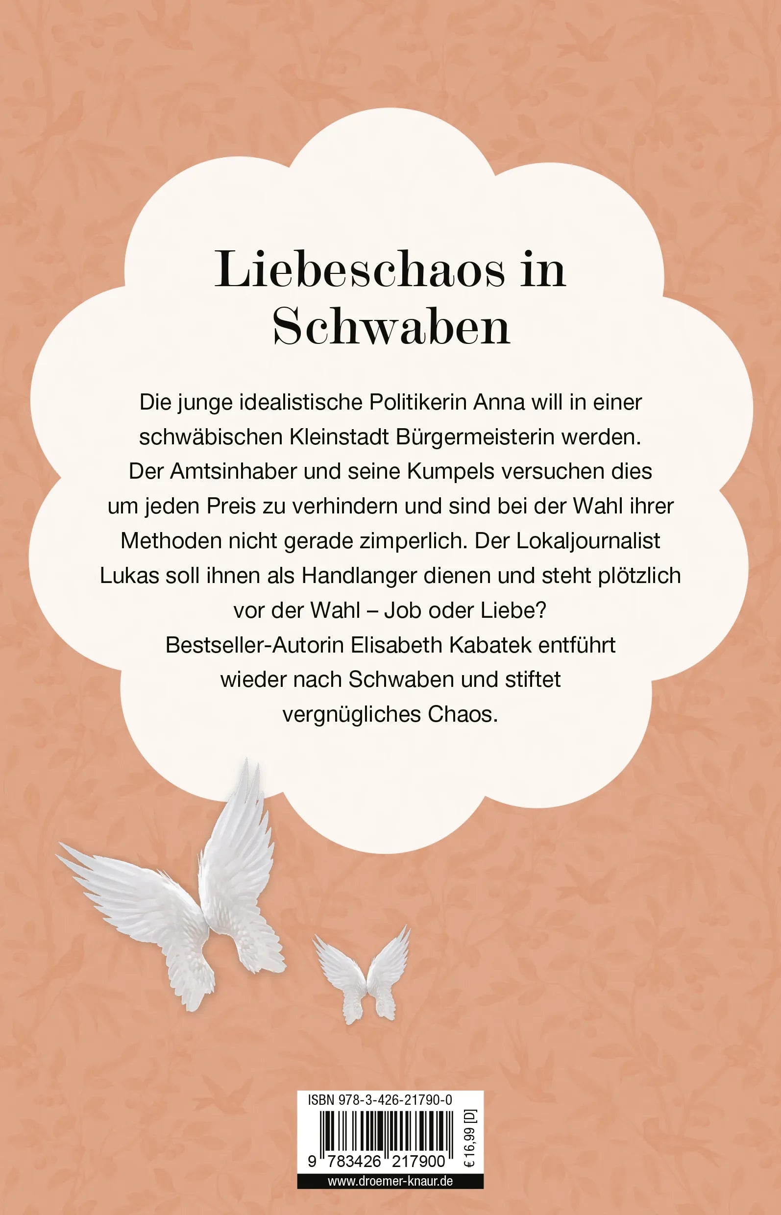 Buchrückseite von 'Schwäbisch für Engel' mit Klappentext - Paperback