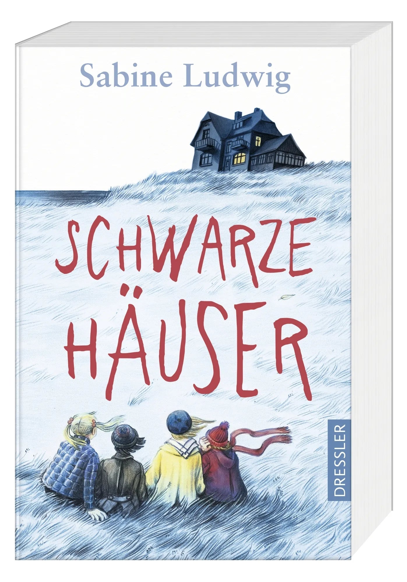 Detailansicht: Schwarze Häuser (Taschenbuch)