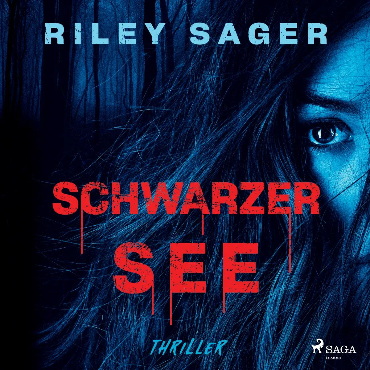 Cover: Schwarzer See (Hörbuch Download) von Riley Sager