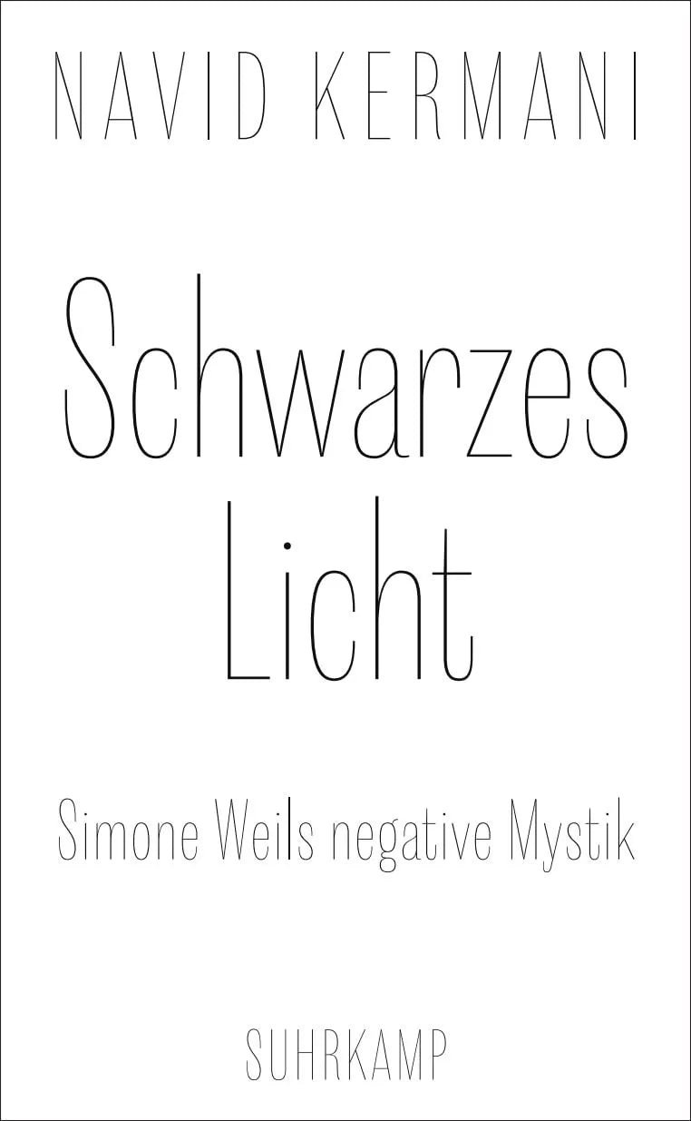 Cover: Schwarzes Licht (Hardcover) von Navid Kermani
