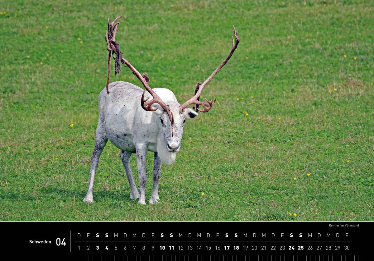 Schweden Premiumkalender 2027 – Ansicht