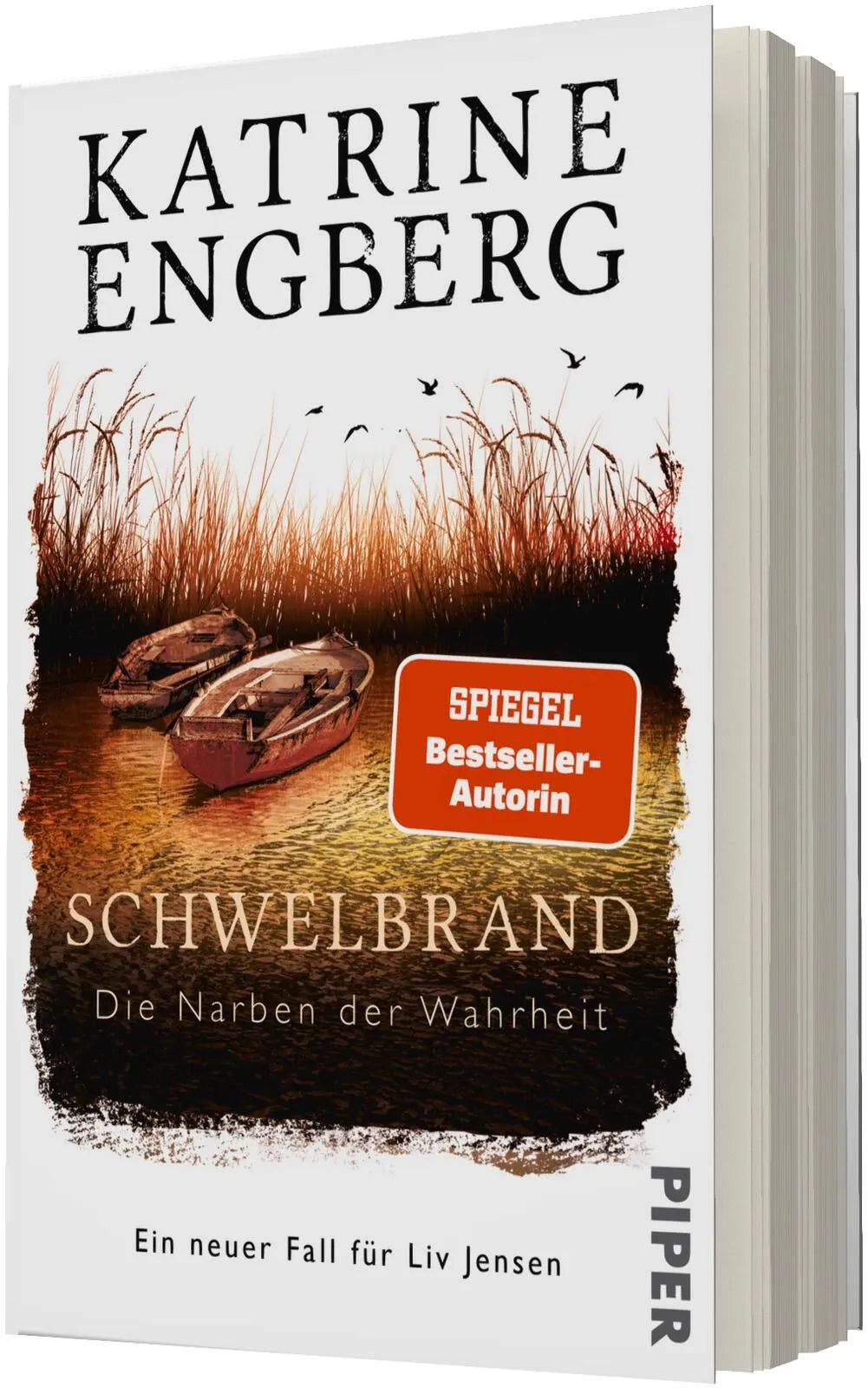 Detailansicht: Schwelbrand (Taschenbuch)