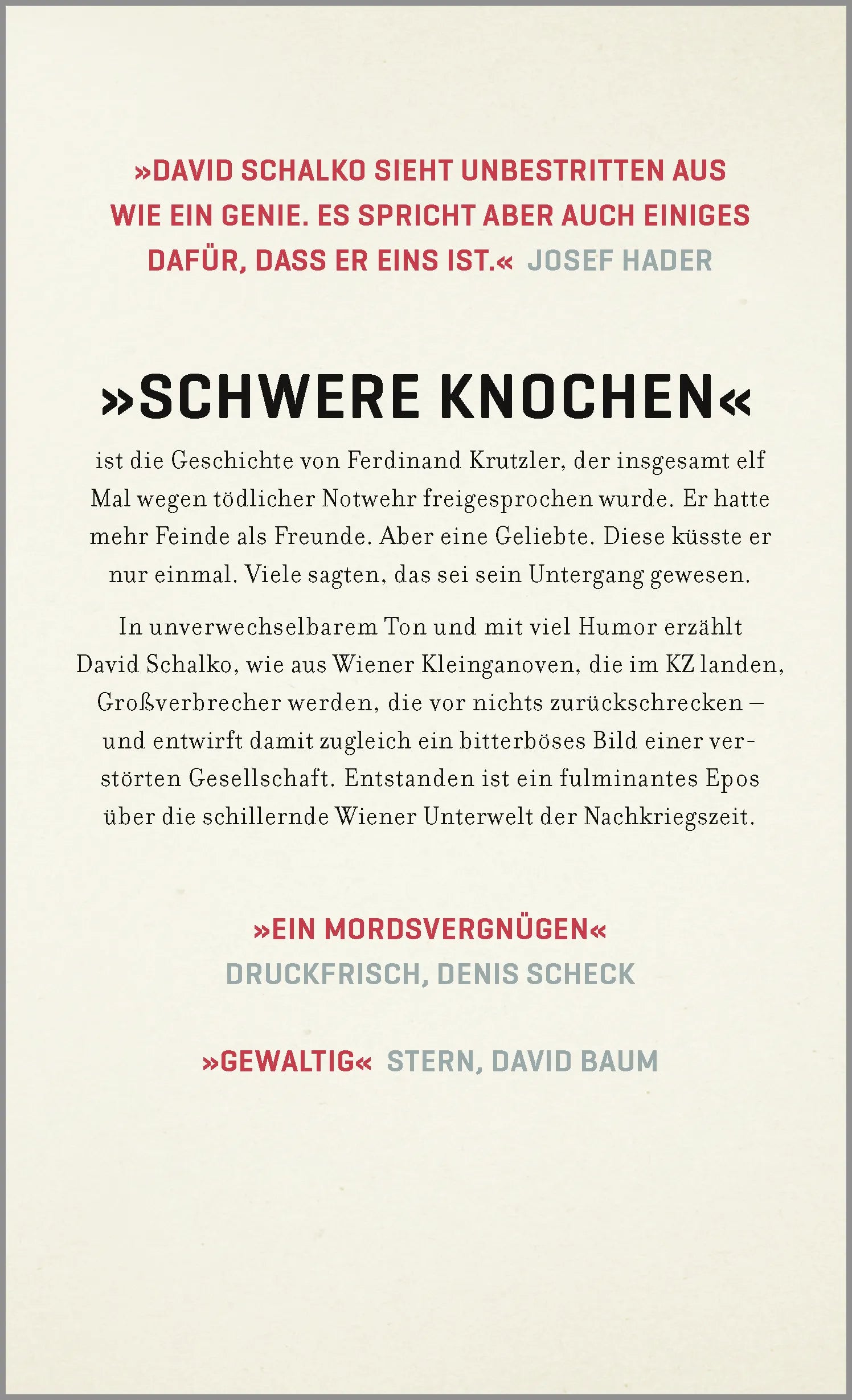 Buchrückseite von 'Schwere Knochen' mit Klappentext - Gebundene Ausgabe
