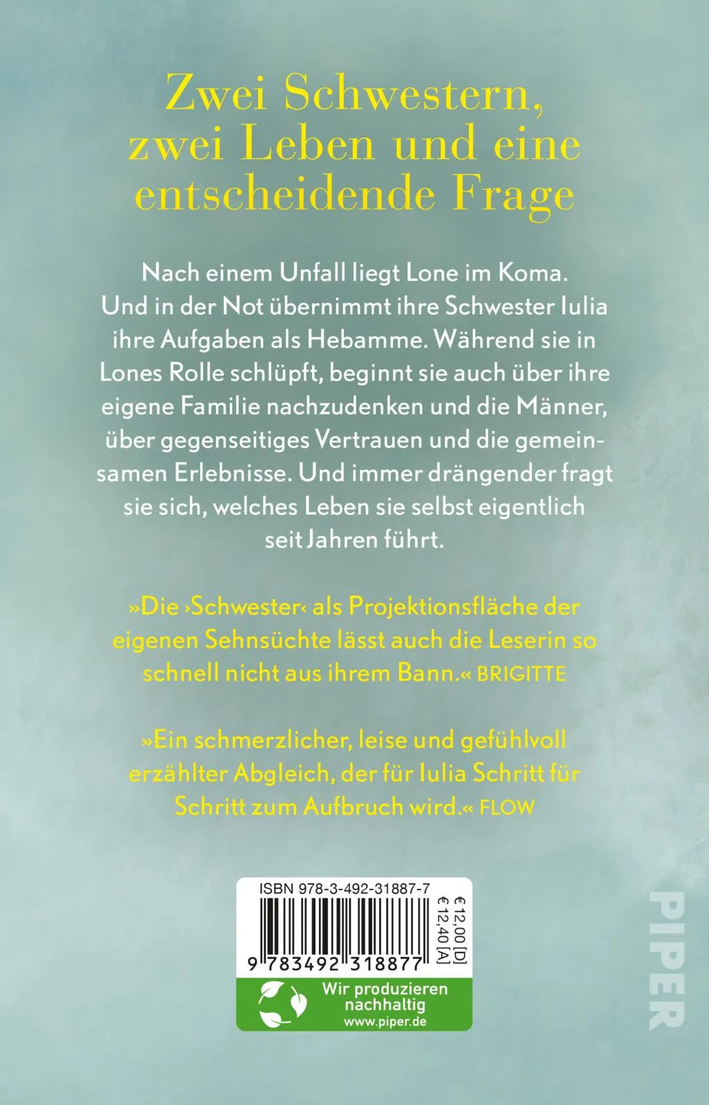 Buchrückseite von 'Schwester' mit Klappentext - Taschenbuch
