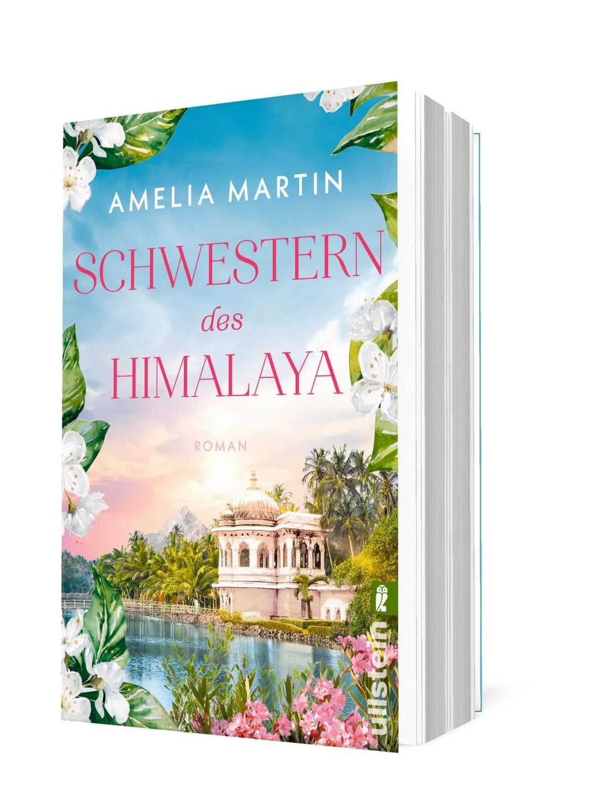 Detailansicht: Schwestern des Himalaya (Taschenbuch)