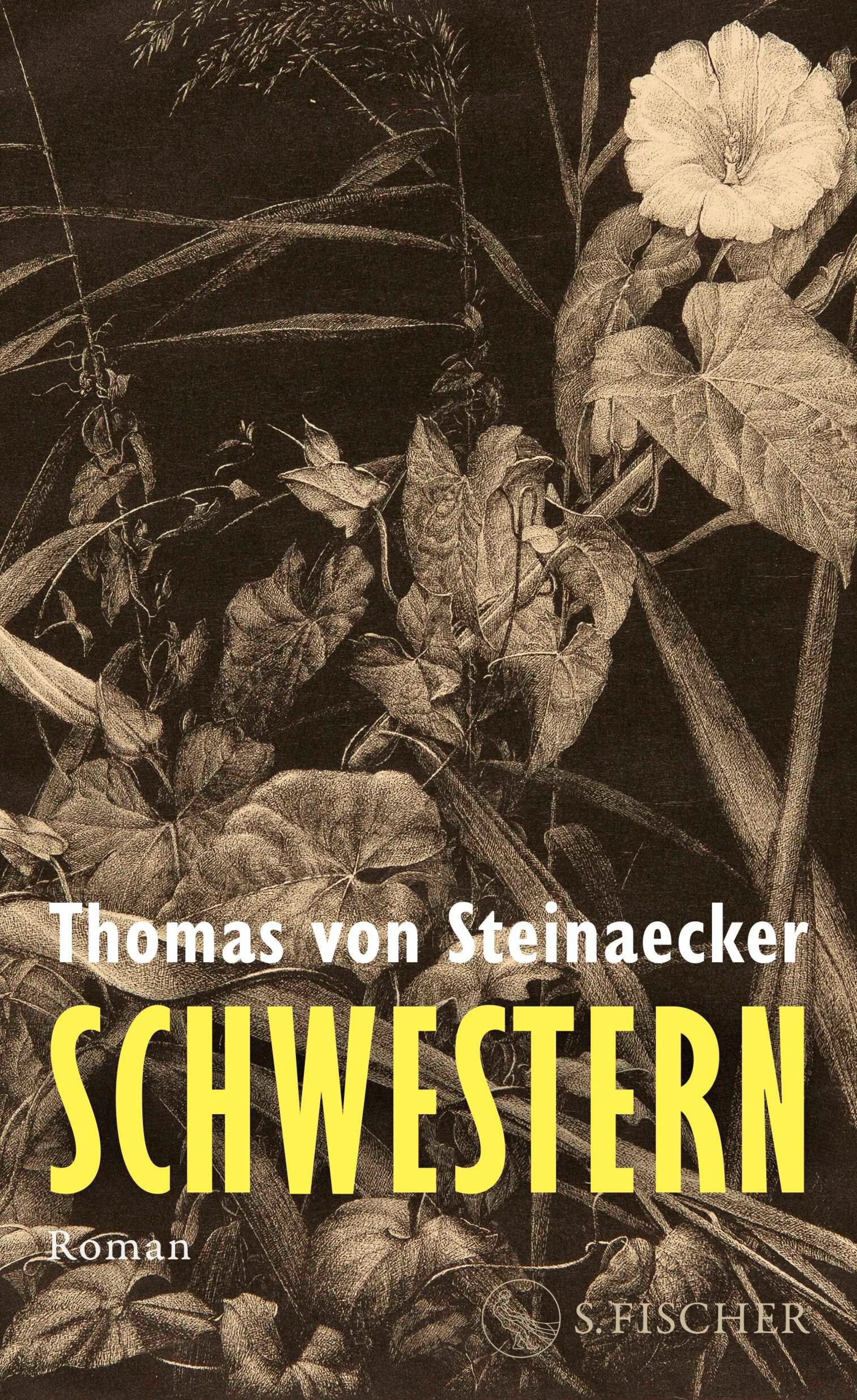 Cover: Schwestern (E-Book) von Thomas von Steinaecker