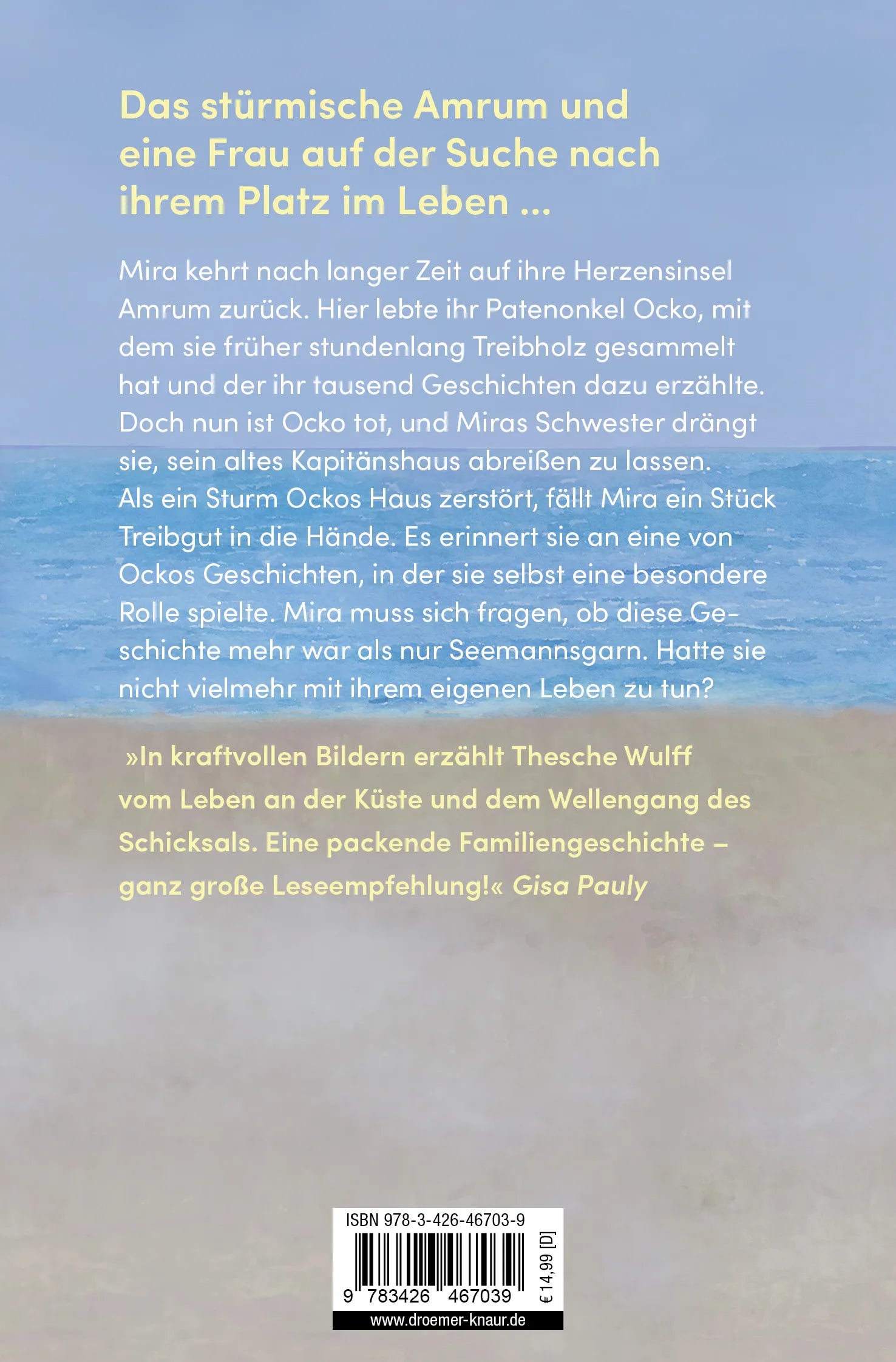 Buchrückseite von 'Schwestern wie Ebbe und Flut' mit Klappentext - Taschenbuch