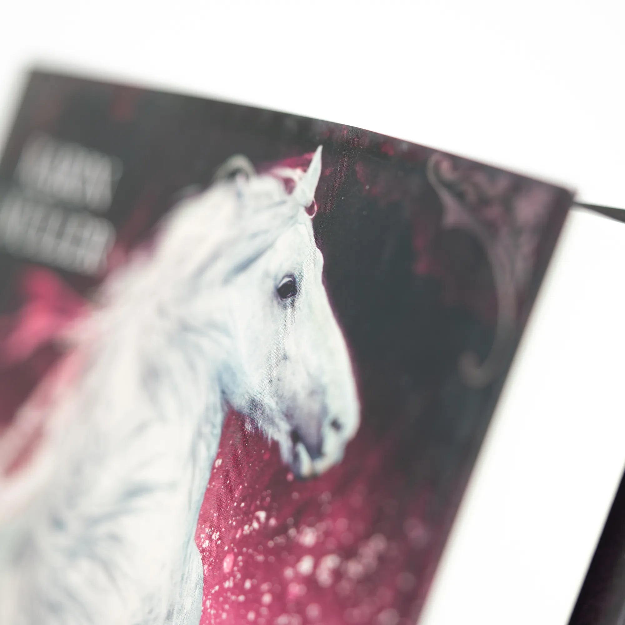 Detailansicht: Seahorse - Die Hoffnung der Wasserpferde (Hardcover)