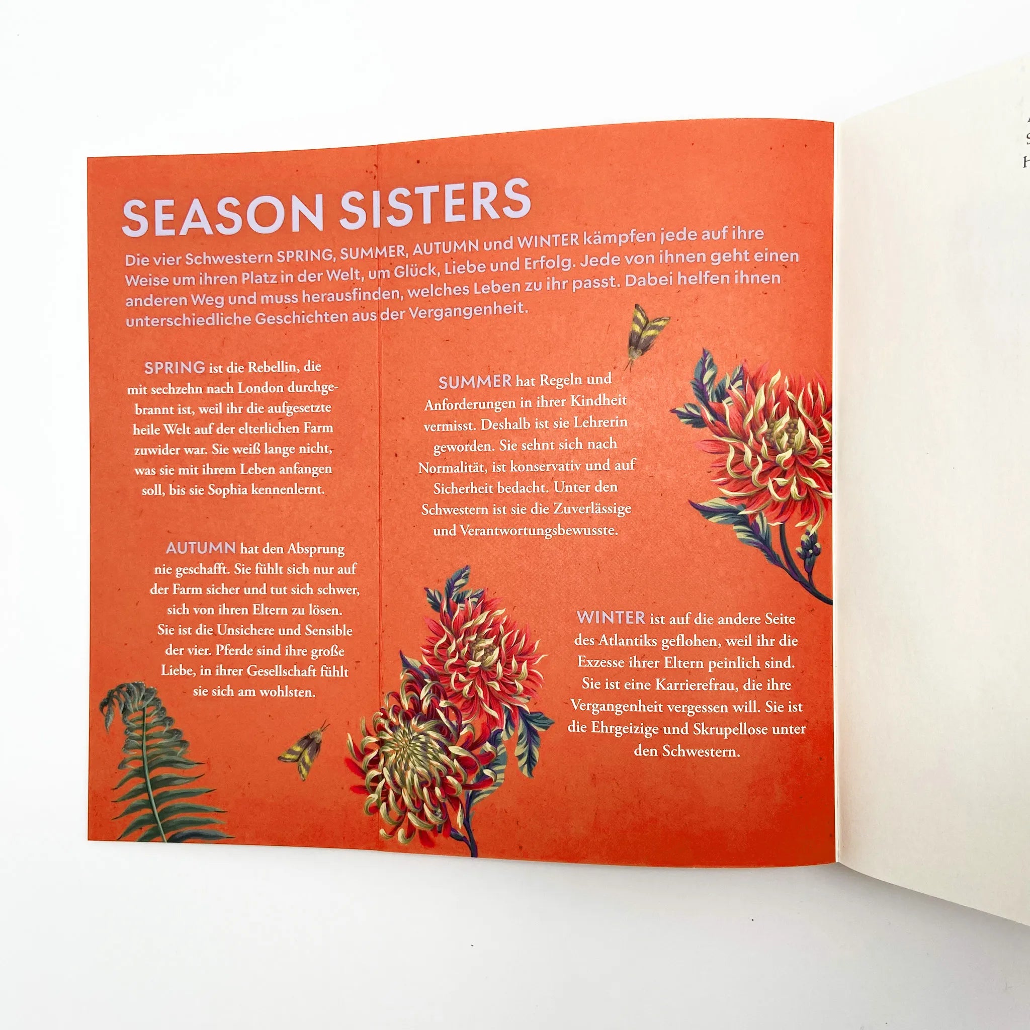 Produktansicht: Season Sisters – Herbstschatten (Taschenbuch)