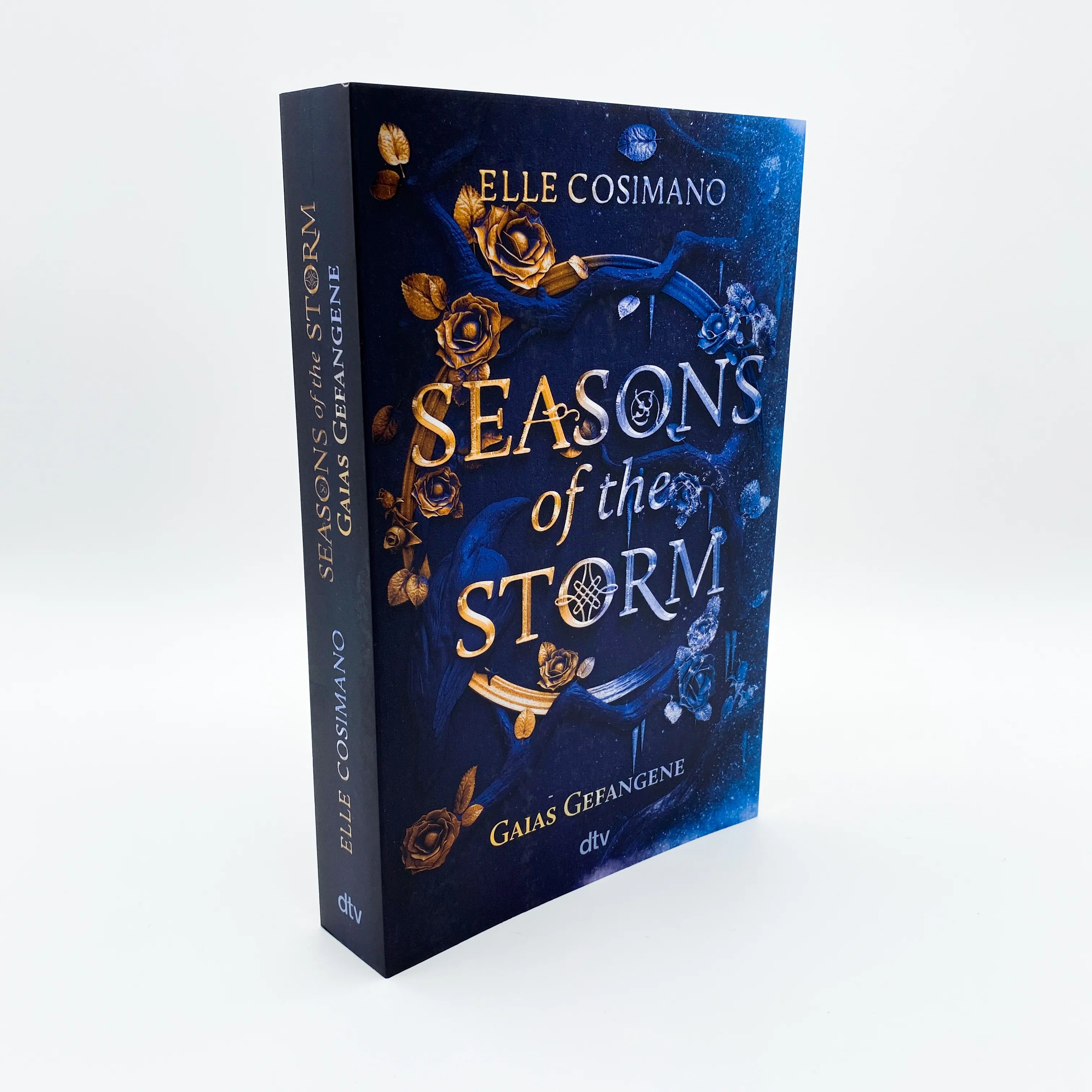 Abbildung von 'Seasons of the Storm – Gaias Gefangene'