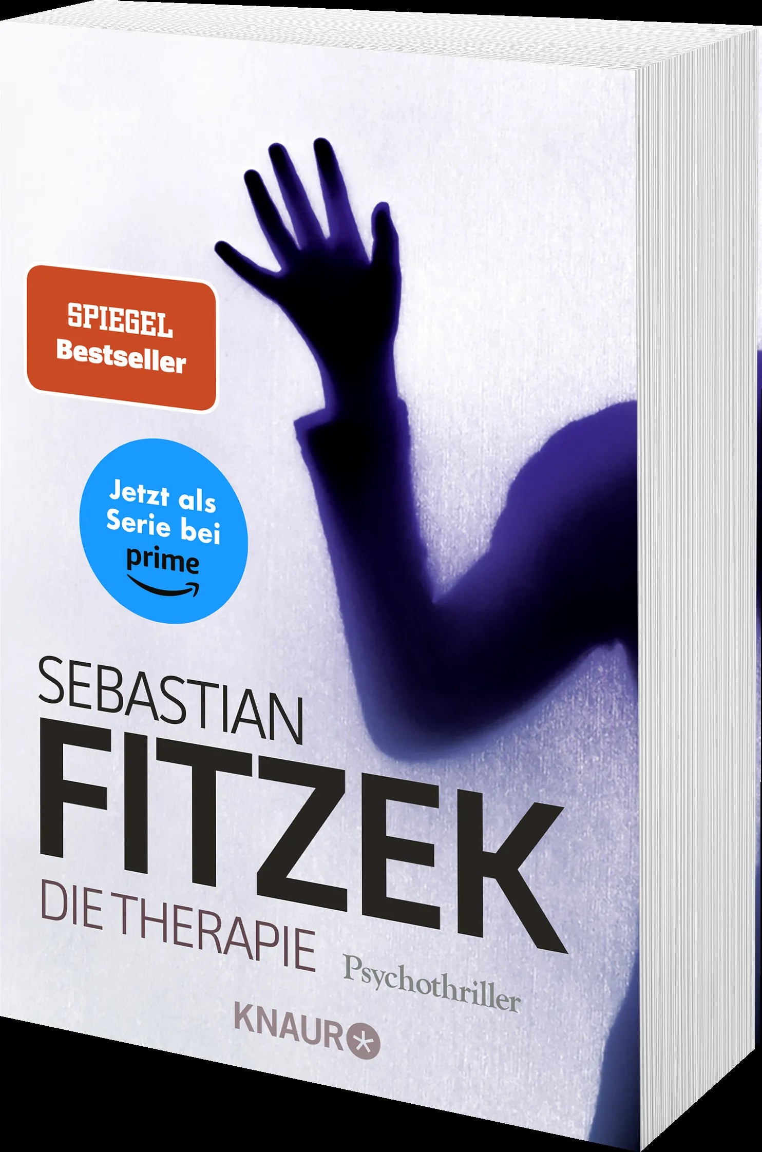 Produktansicht: Die Therapie (Taschenbuch)