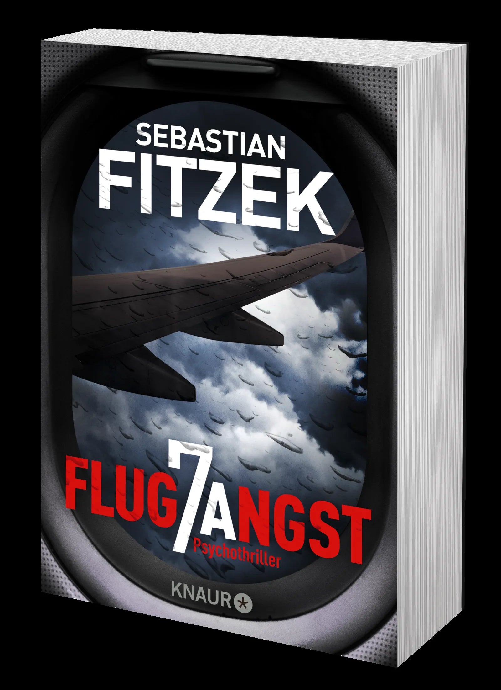 Produktansicht: Flugangst 7A (Taschenbuch)