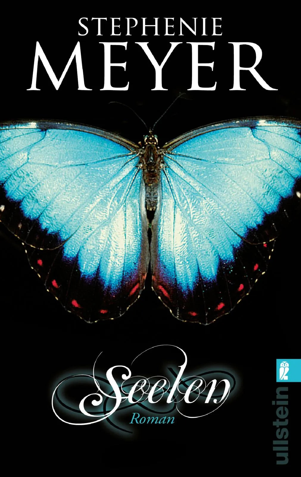 Buchcover von 'Seelen' - Taschenbuch von Stephenie Meyer