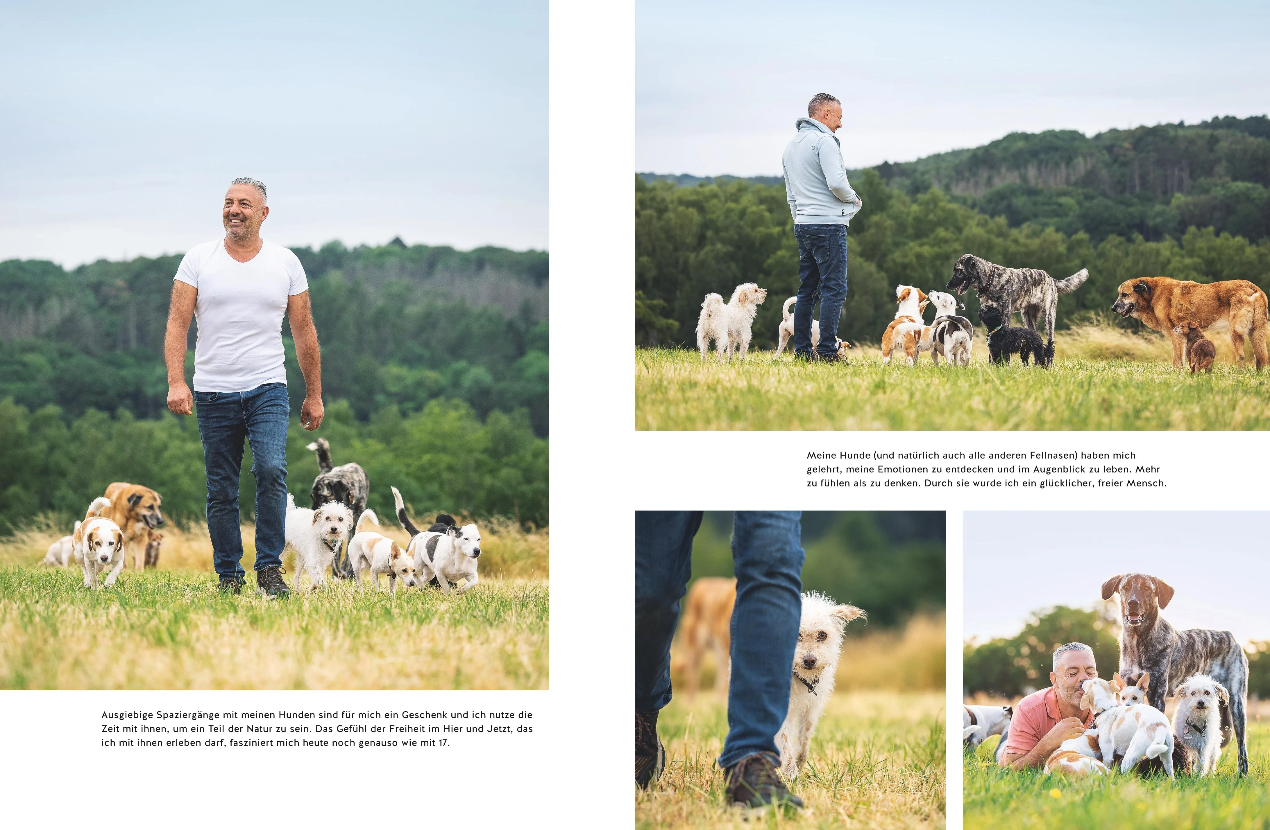 Produktansicht: Seelenpartner Hund (Gebundene Ausgabe)