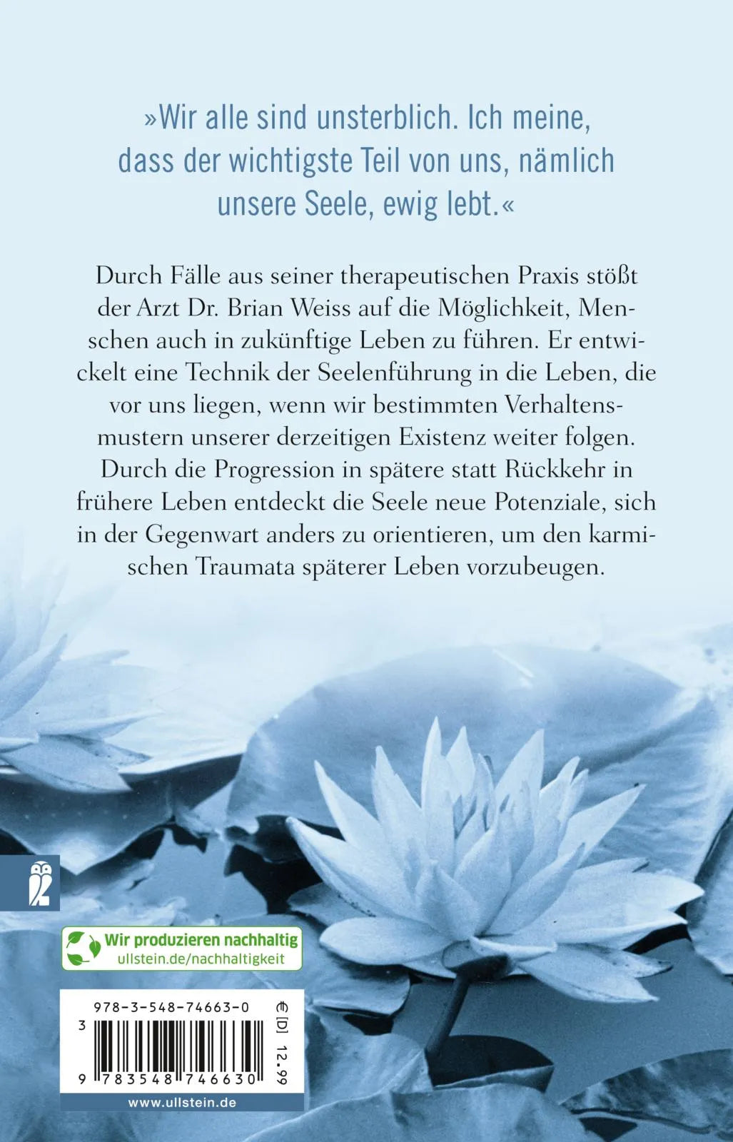 Buchrückseite von 'Seelenwege' mit Klappentext - Taschenbuch
