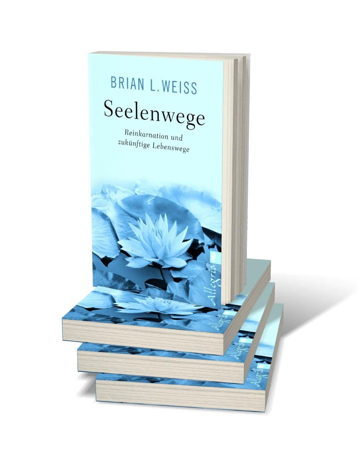 Abbildung von 'Seelenwege'