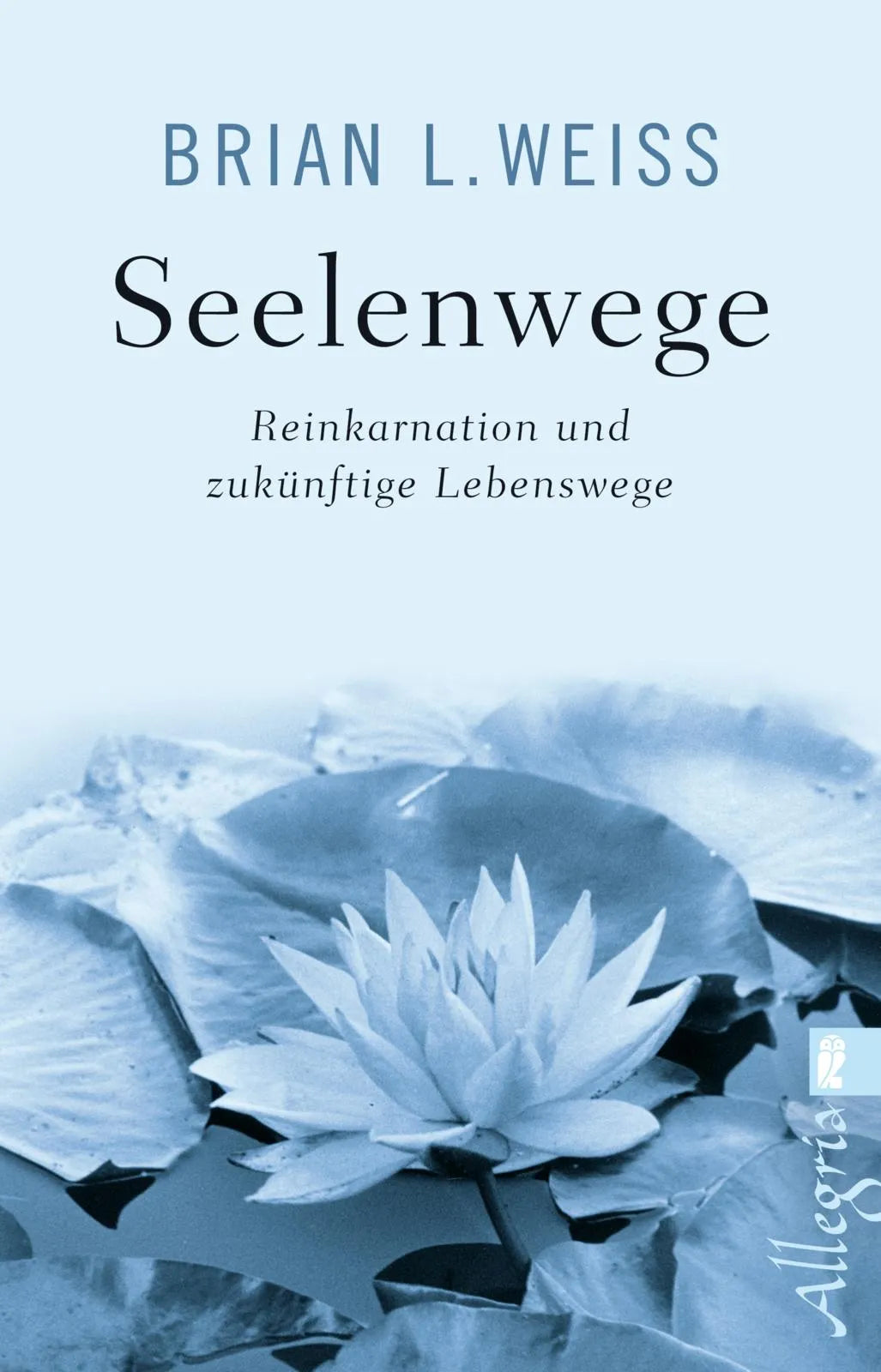 Buchcover von 'Seelenwege' - Taschenbuch von Brian L. Weiss