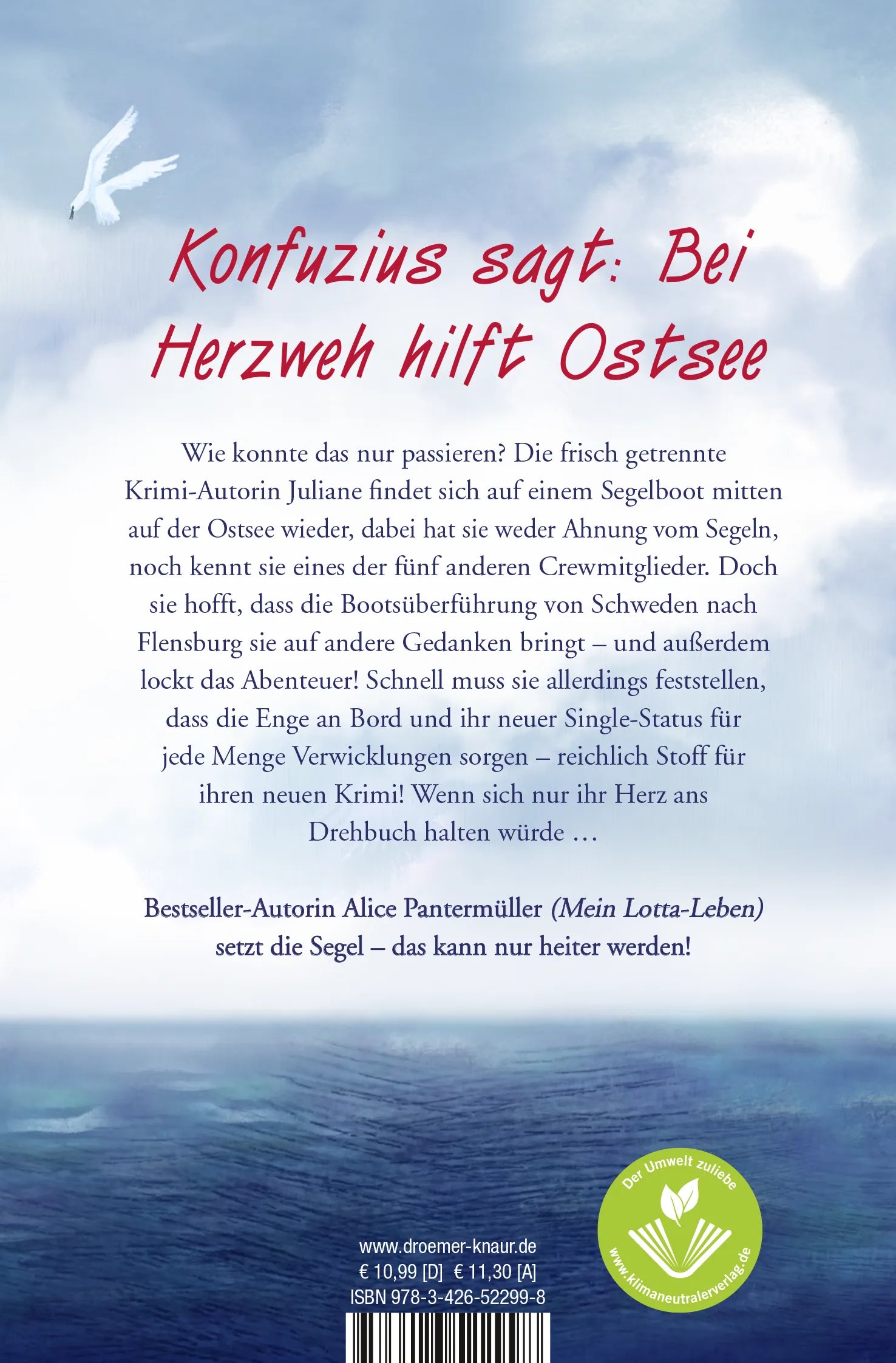 Buchrückseite von 'Segelsommer oder Die beste Katastrophe meines Lebens' mit Klappentext - Taschenbuch