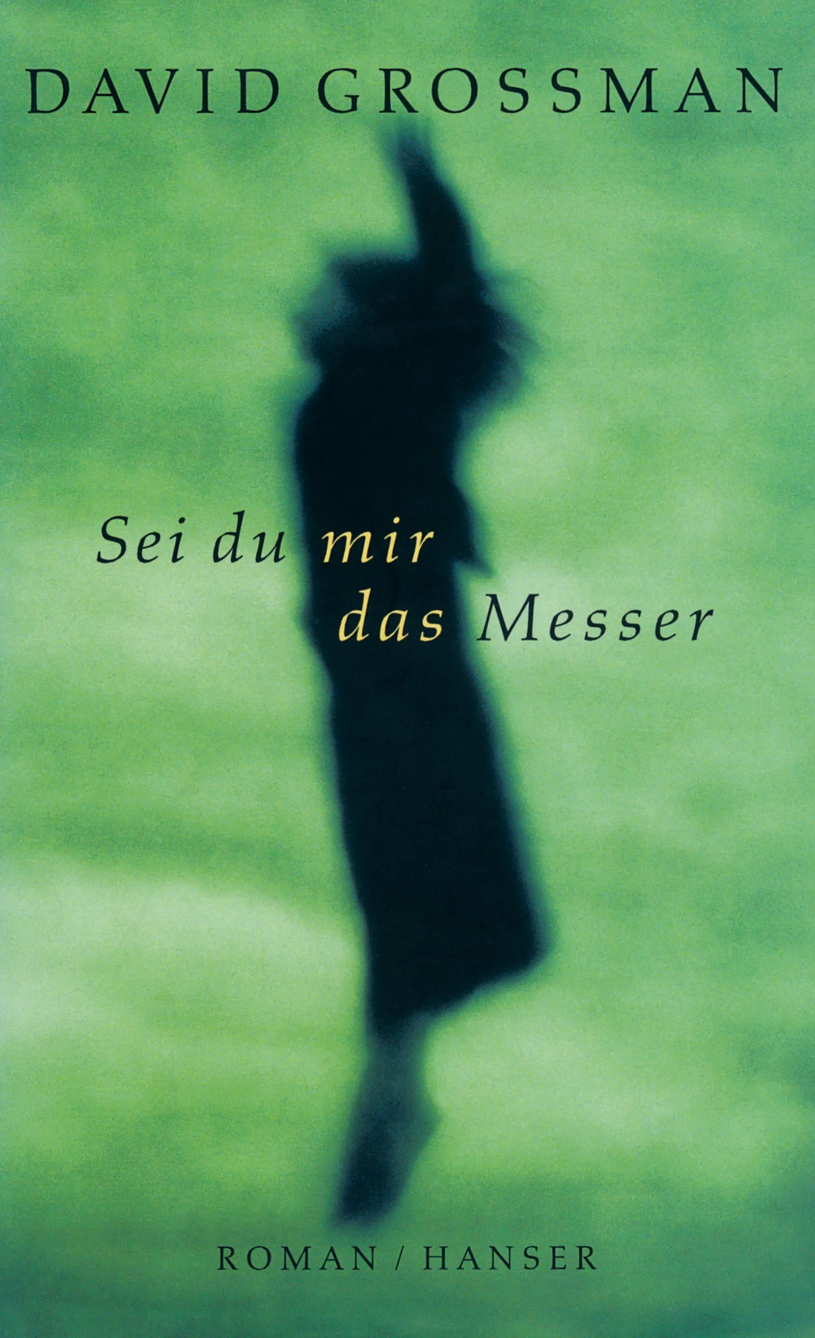 Buchcover von 'Sei du mir das Messer' - Gebundene Ausgabe von David Grossman