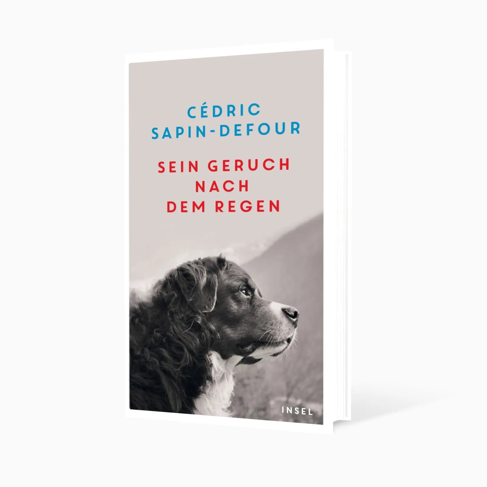 Abbildung von 'Sein Geruch nach dem Regen'