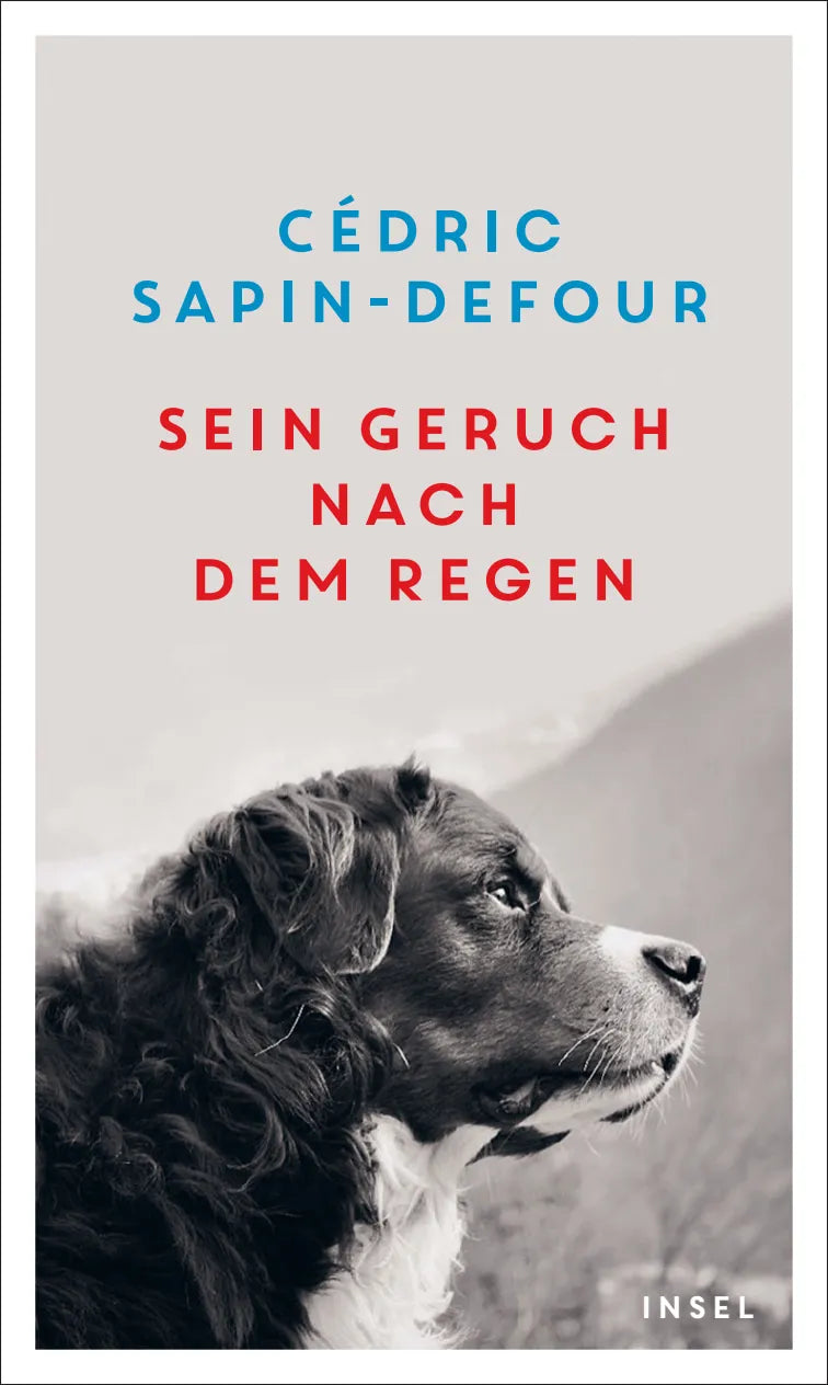 Buchcover von 'Sein Geruch nach dem Regen' - Gebundene Ausgabe von Cédric Sapin-Defour