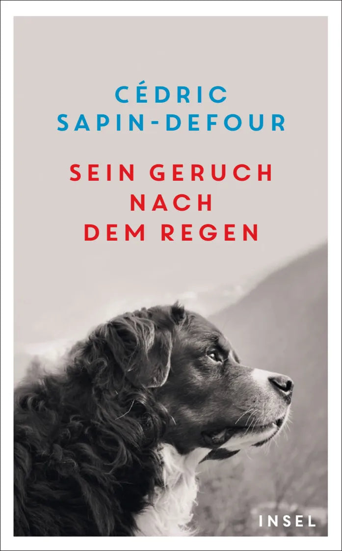Cover: Sein Geruch nach dem Regen (Taschenbuch) von Cédric Sapin-Defour