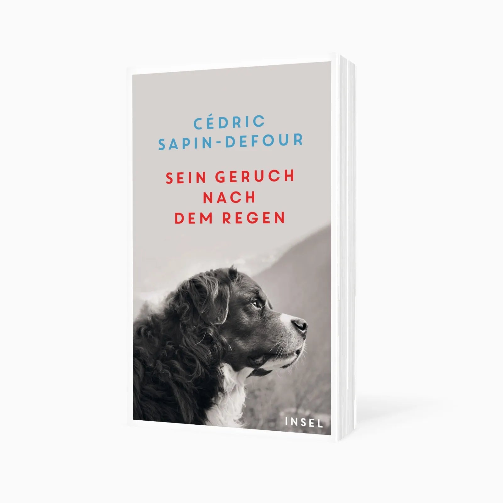 Detailansicht: Sein Geruch nach dem Regen (Taschenbuch)