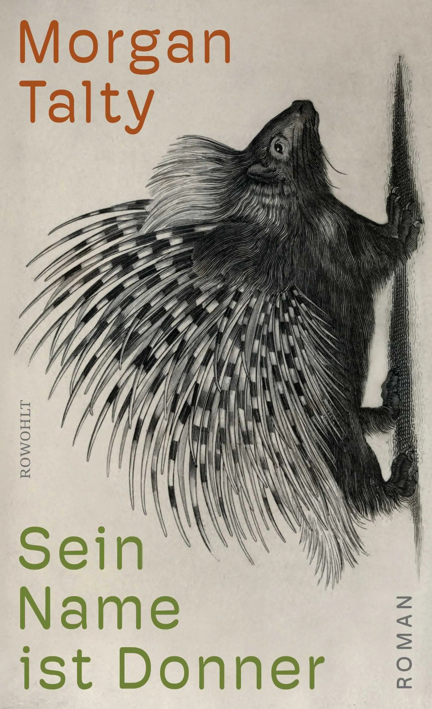 Buchcover von 'Sein Name ist Donner' - Gebundene Ausgabe von Morgan Talty