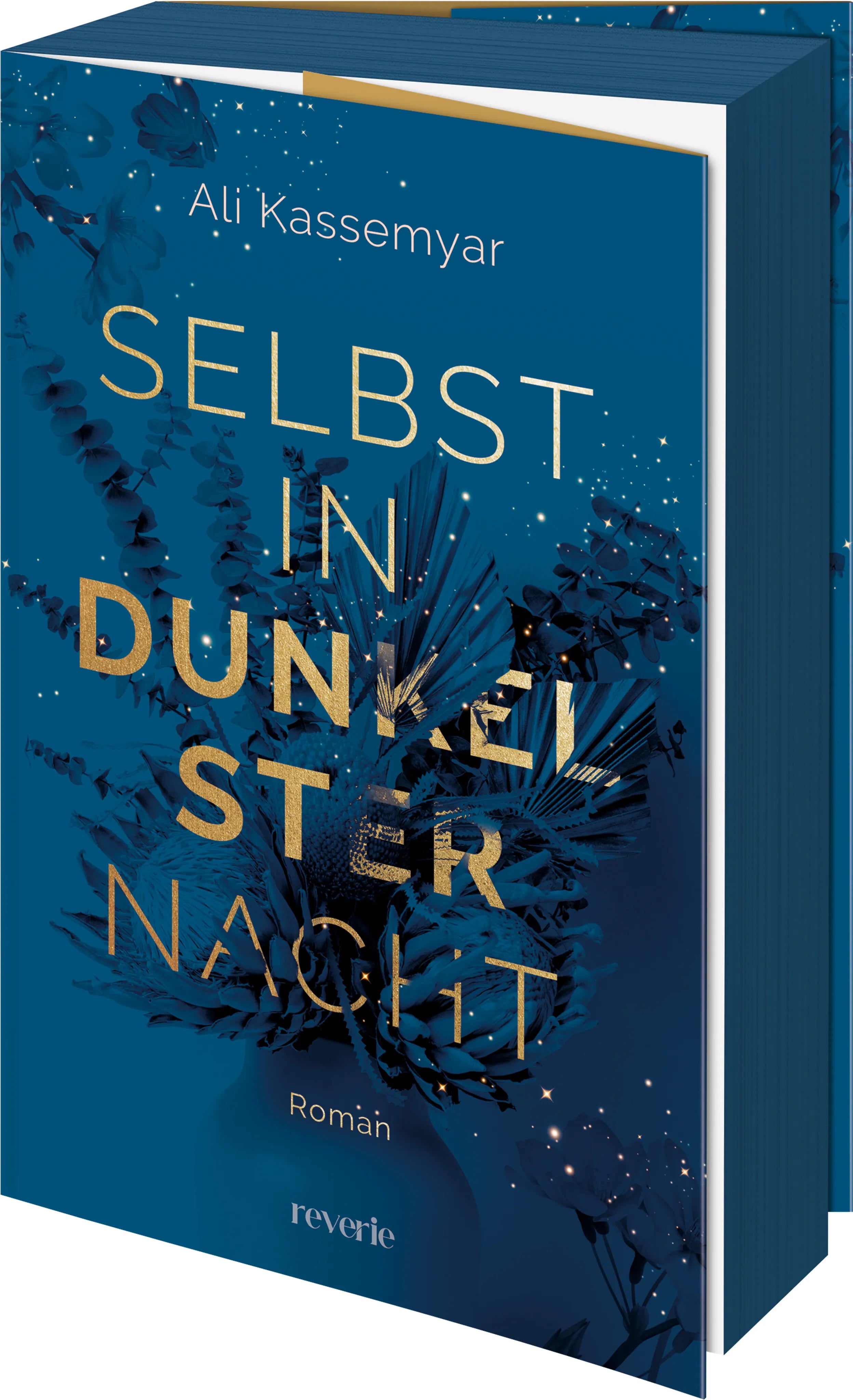 Buchcover von 'Selbst in dunkelster Nacht' - Paperback von Ali Kassemyar