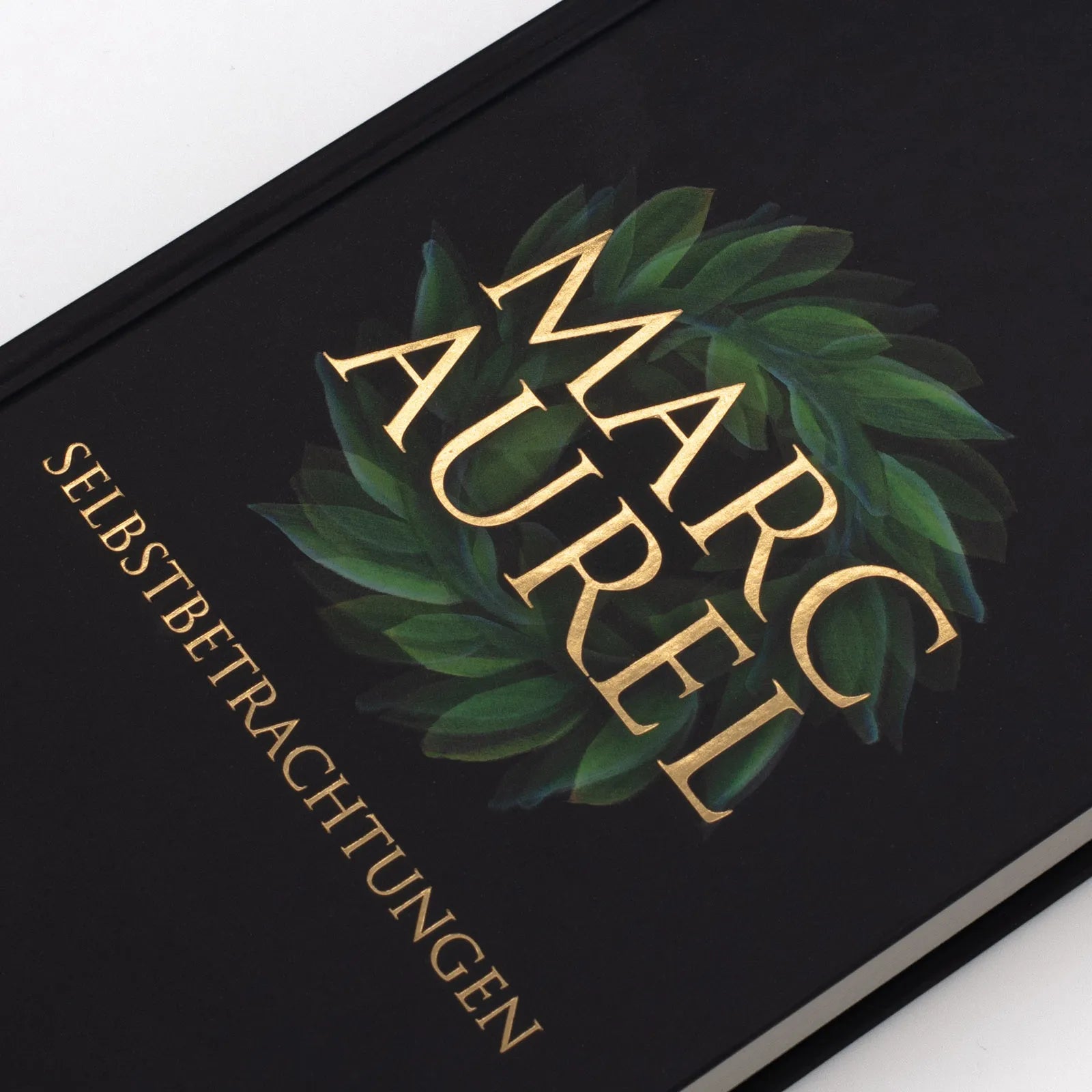 Detailansicht: Selbstbetrachtungen (Hardcover)