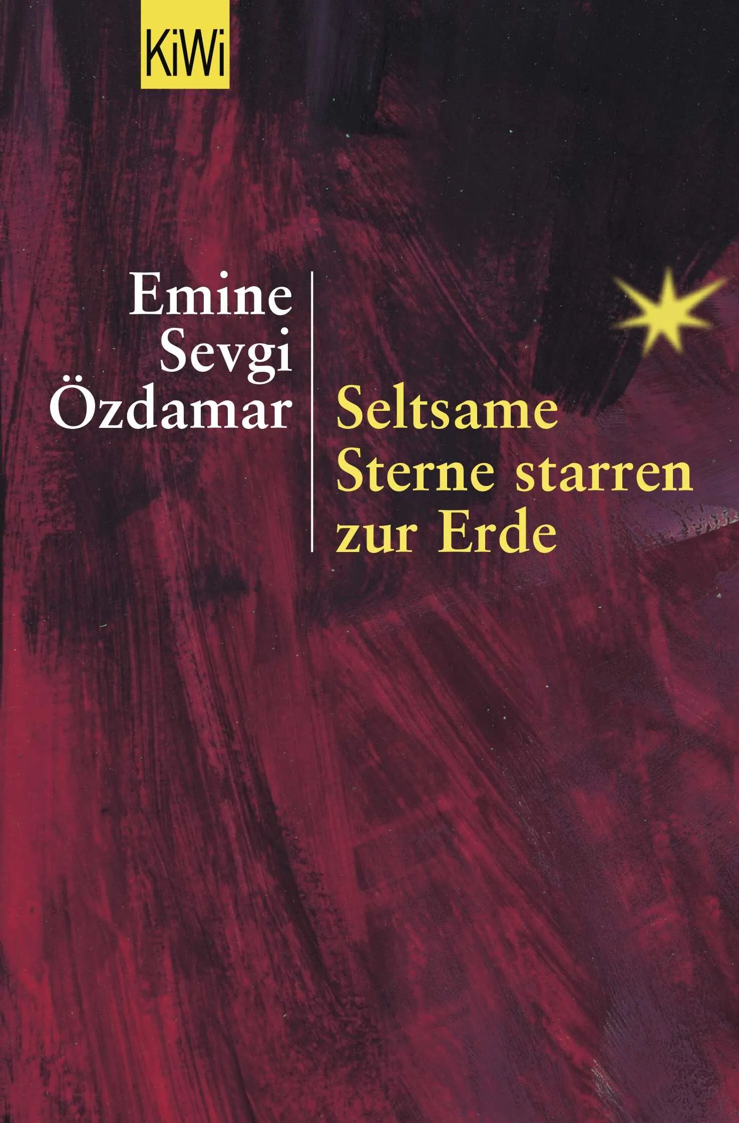Buchcover von 'Seltsame Sterne starren zur Erde' - Taschenbuch von Emine Sevgi Özdamar