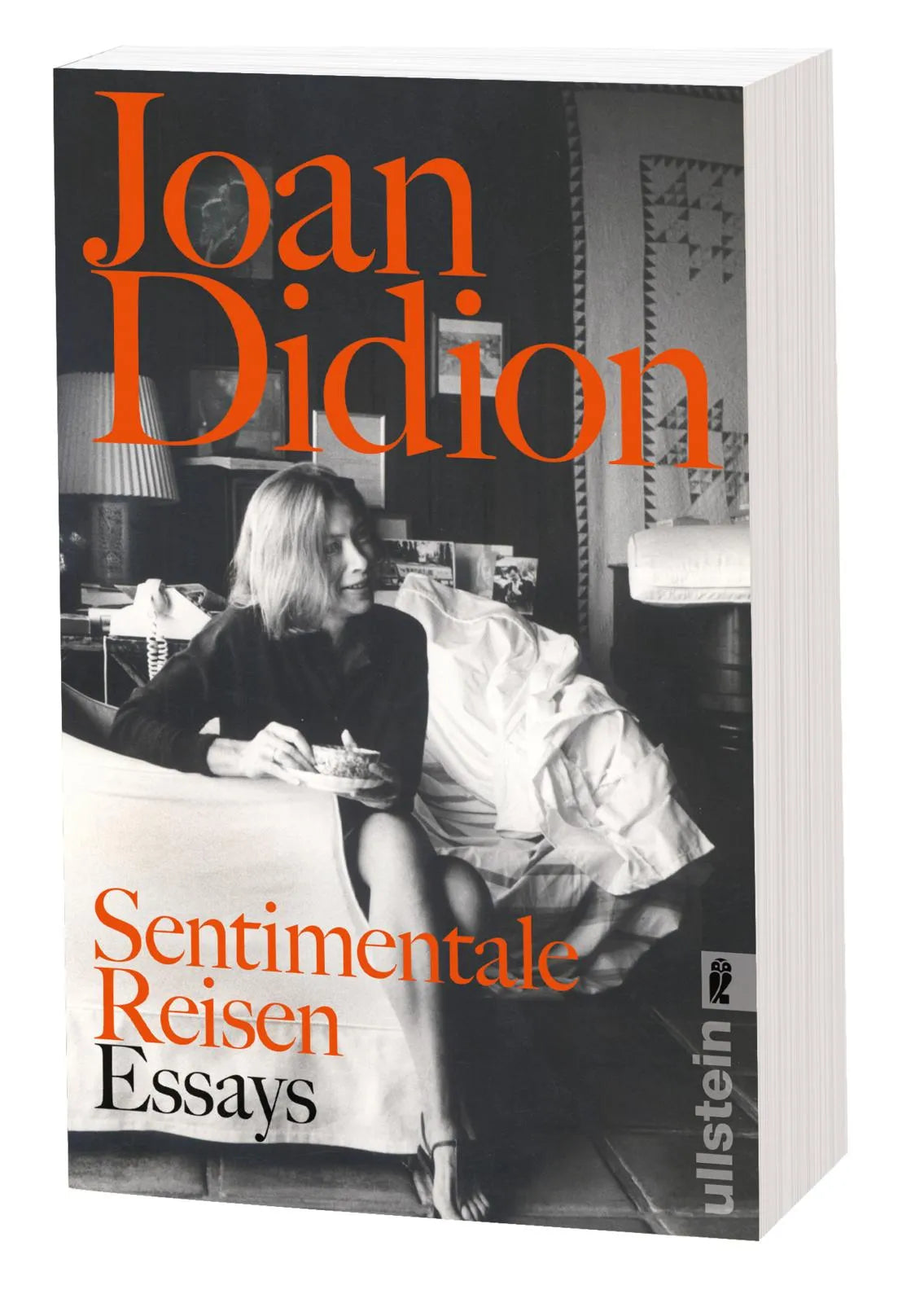 Detailansicht: Sentimentale Reisen (Taschenbuch)