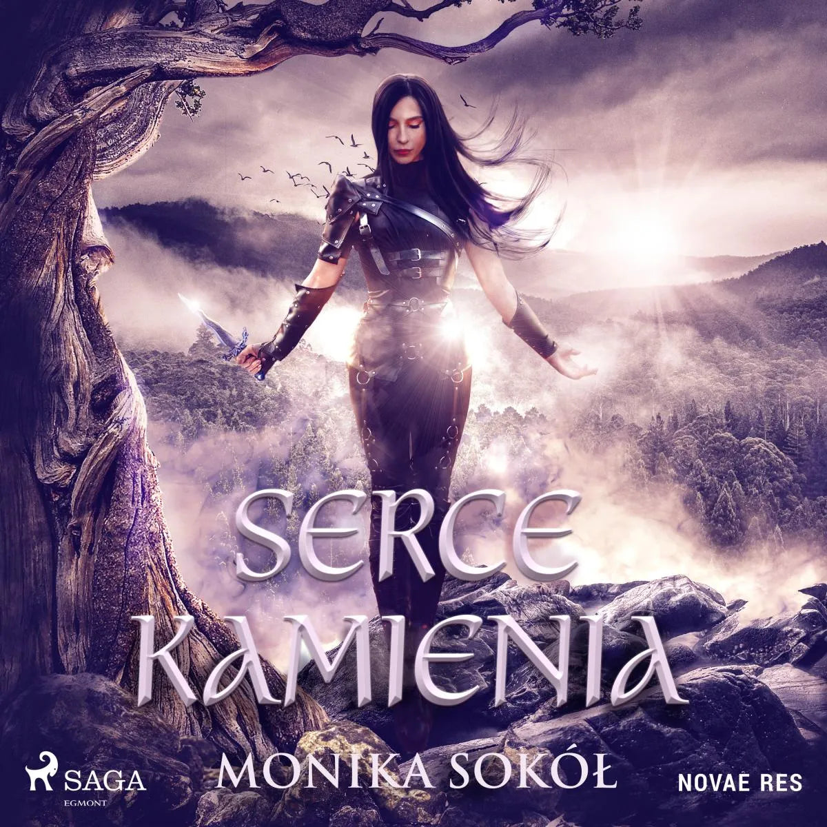 Cover: Serce kamienia (Hörbuch Download) von Monika Sokól
