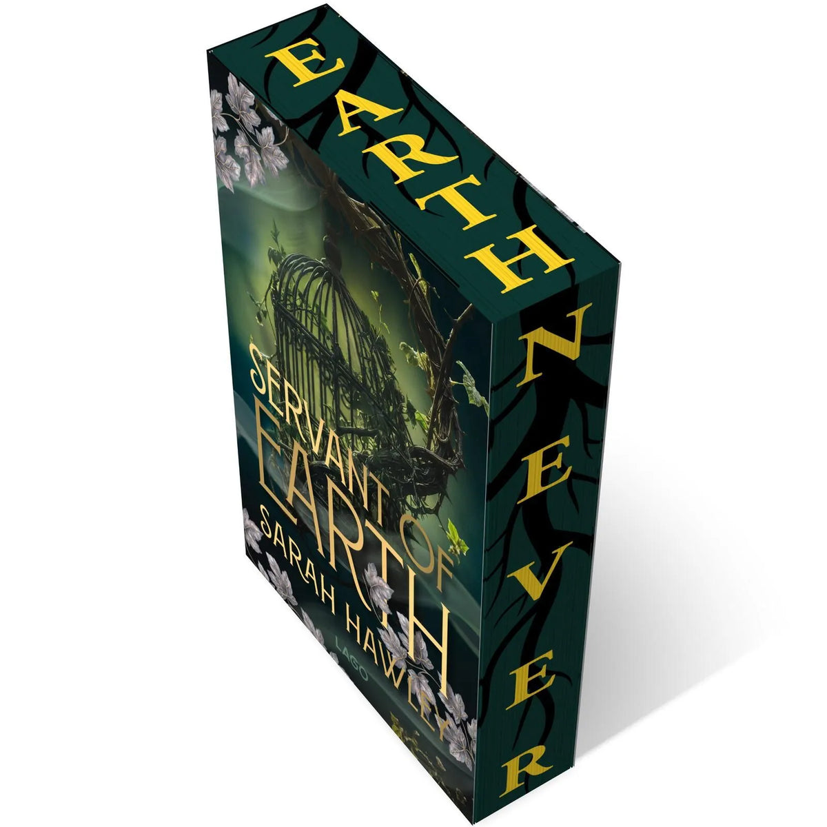 Detailansicht: Servant of Earth (Paperback)