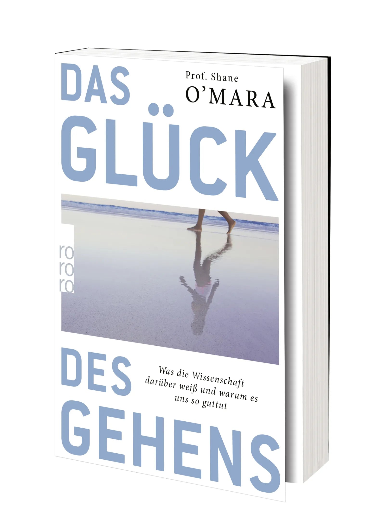 Produktansicht: Das Glück des Gehens (Taschenbuch)