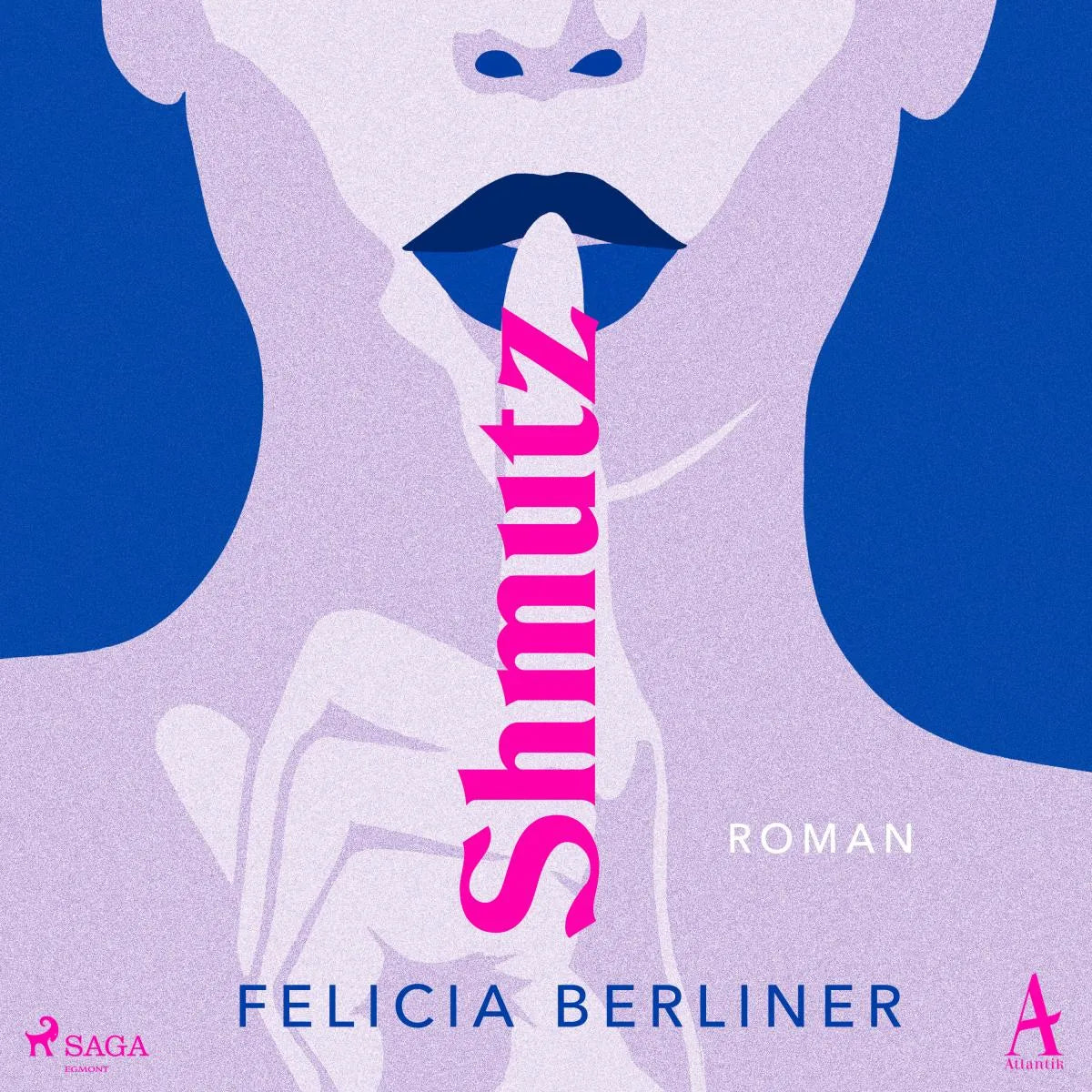 Cover: Shmutz (Hörbuch Download) von Felicia Berliner