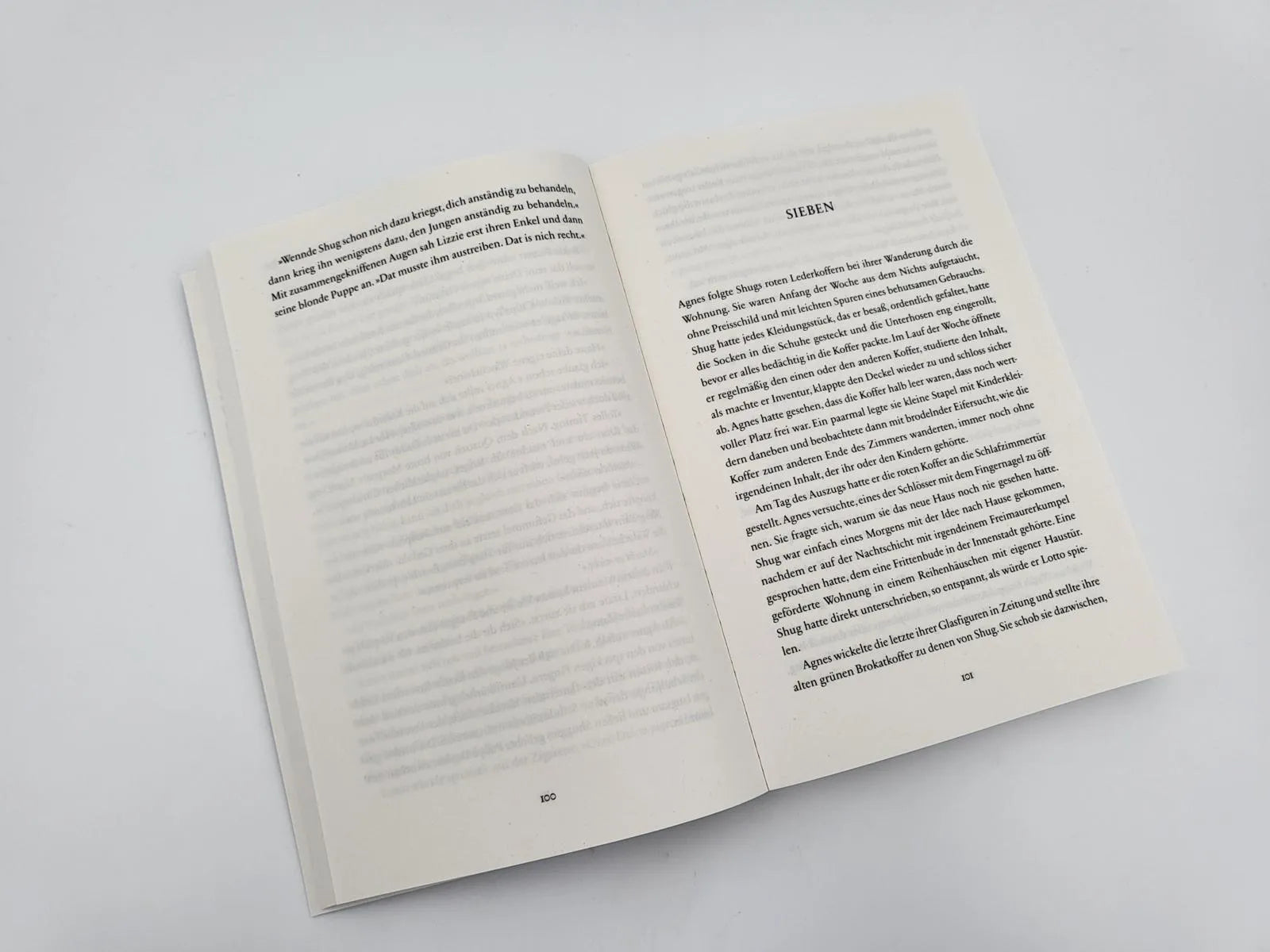 Abbildung von 'Shuggie Bain'