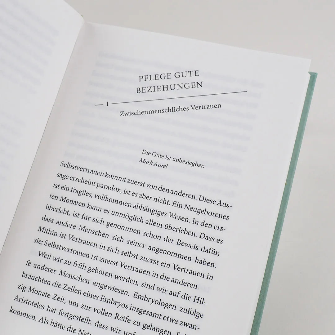 Produktansicht: Sich selbst vertrauen (Gebundene Ausgabe)