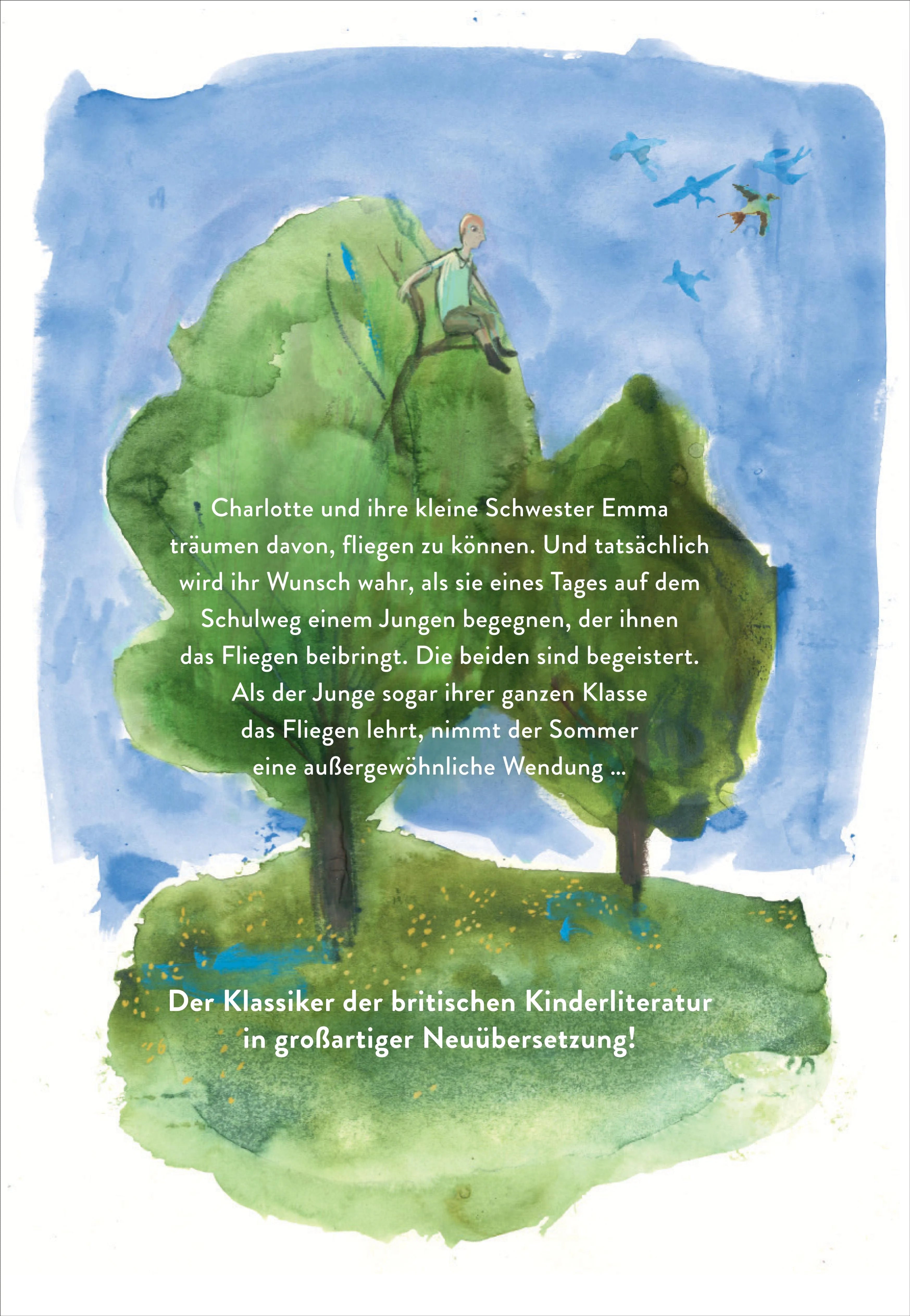 Rückseite: Sie flogen einen Sommer lang (Hardcover)