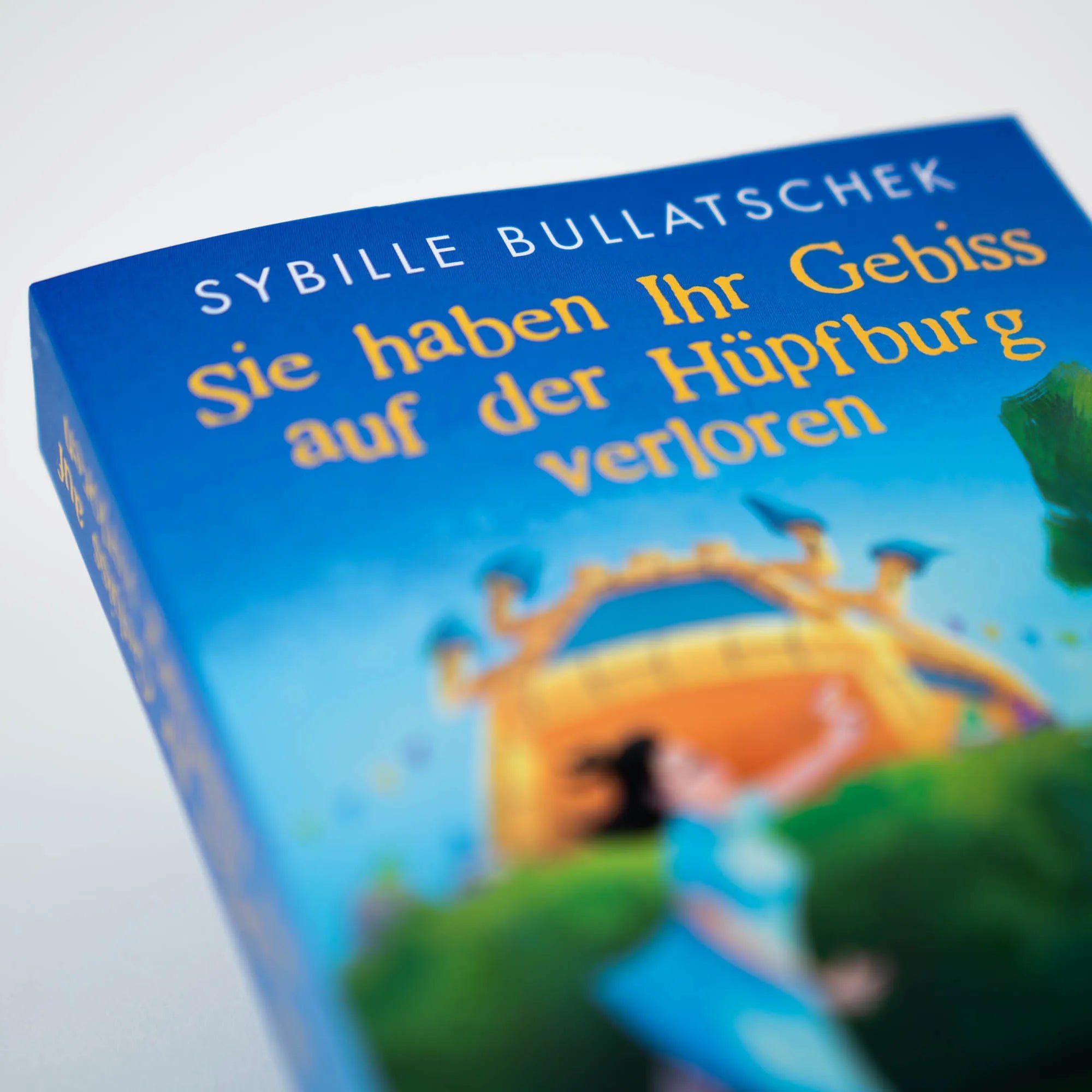 Abbildung von 'Sie haben Ihr Gebiss auf der Hüpfburg verloren'