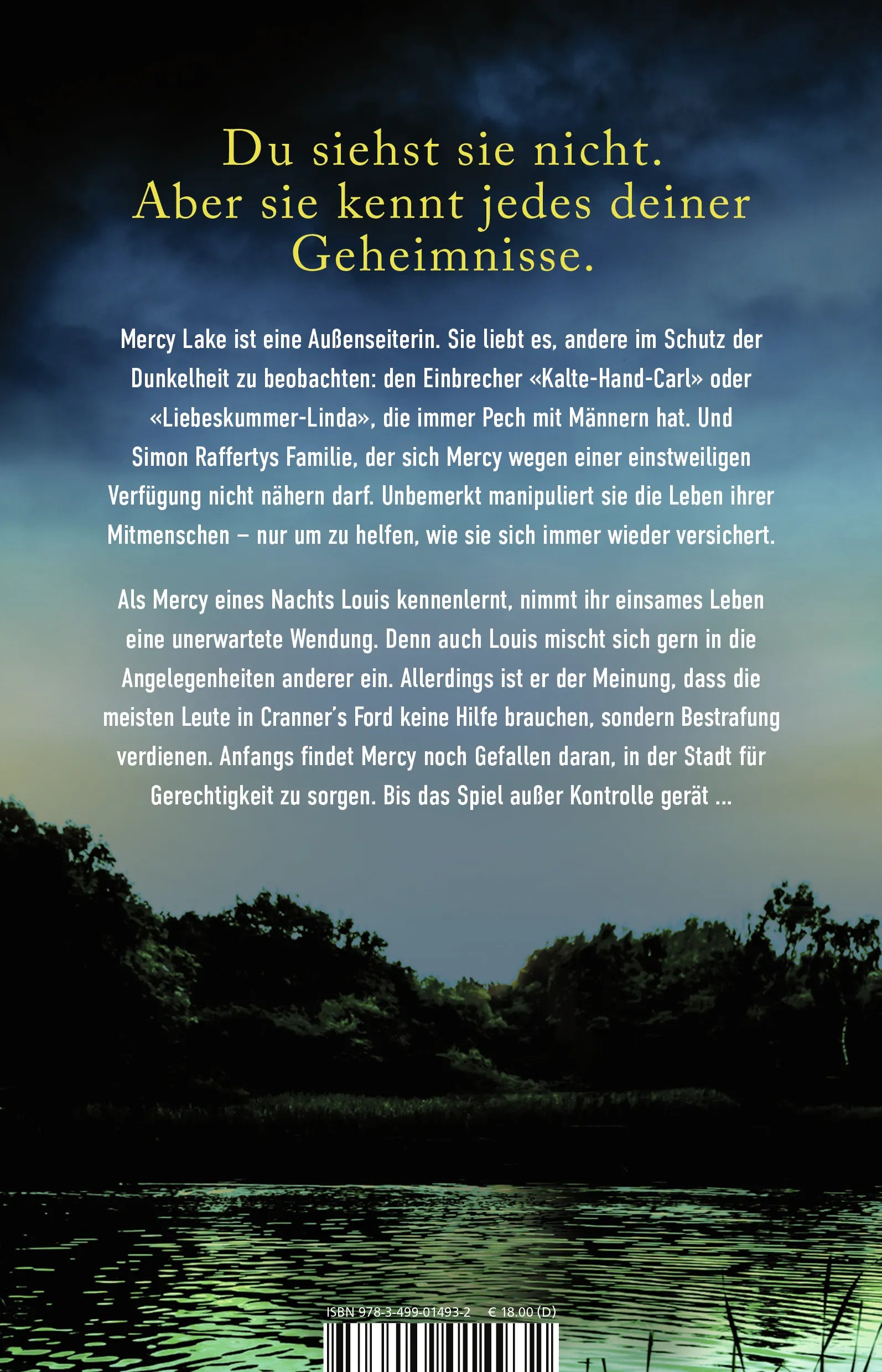 Buchrückseite von 'Sie sieht, was du tust' mit Klappentext - Paperback