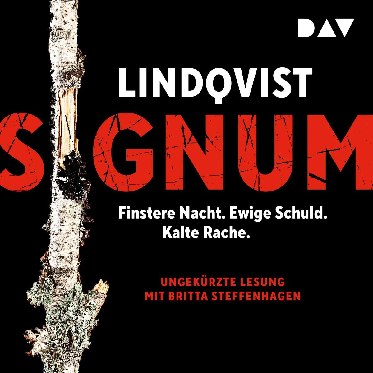 Cover: Signum (Hörbuch Download) von John Ajvide Lindqvist
