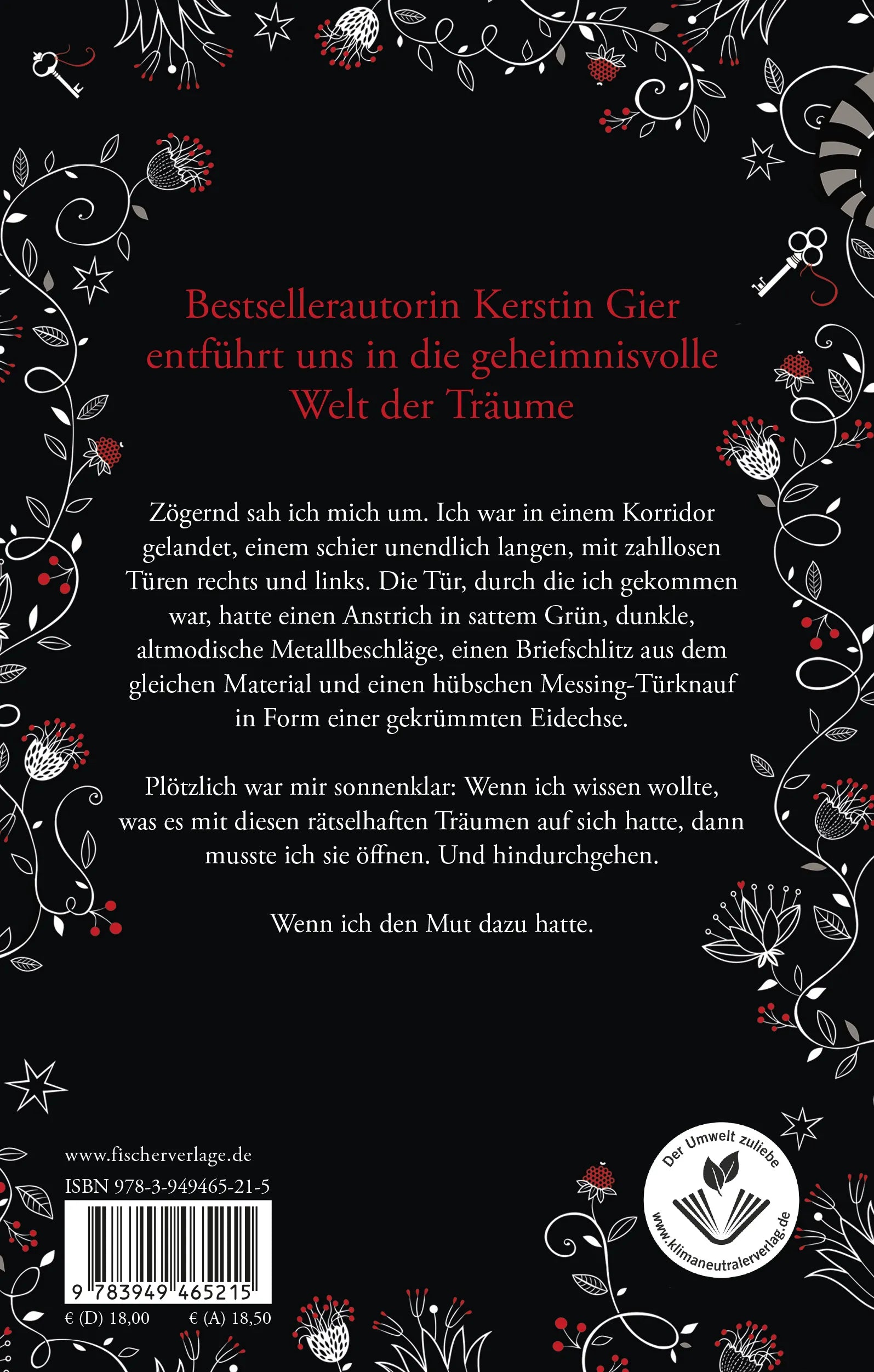 Buchrückseite von 'Silber - Das erste Buch der Träume' mit Klappentext - Paperback