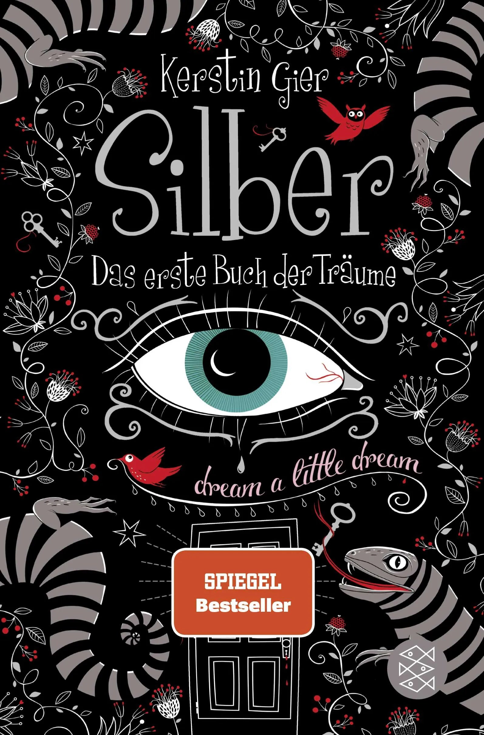 Buchcover von 'Silber - Das erste Buch der Träume' - Taschenbuch von Kerstin Gier